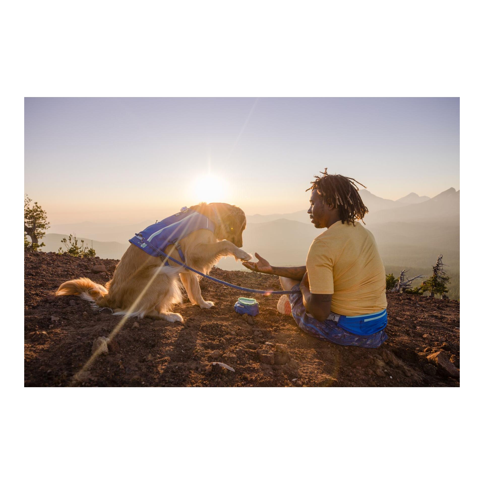 Trail Runner™ Running Vest Hundeweste