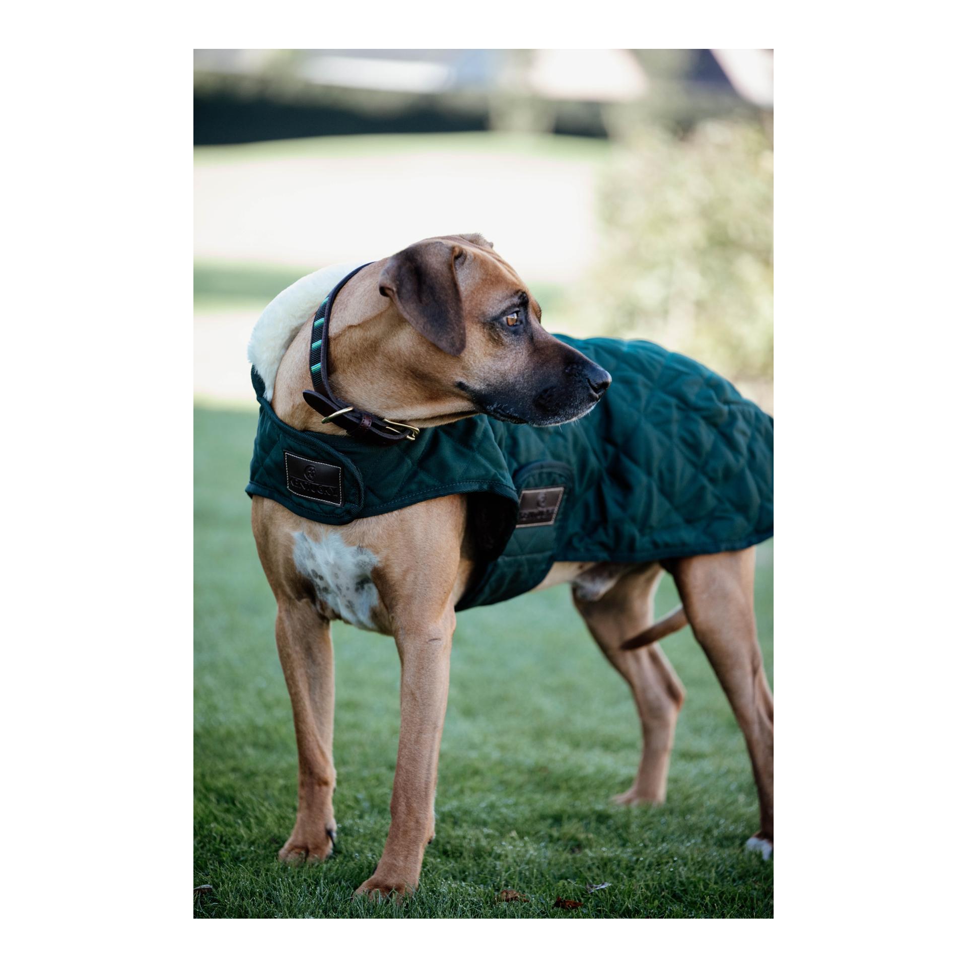 Kentucky Dogwear Hundemantel Original - dark green