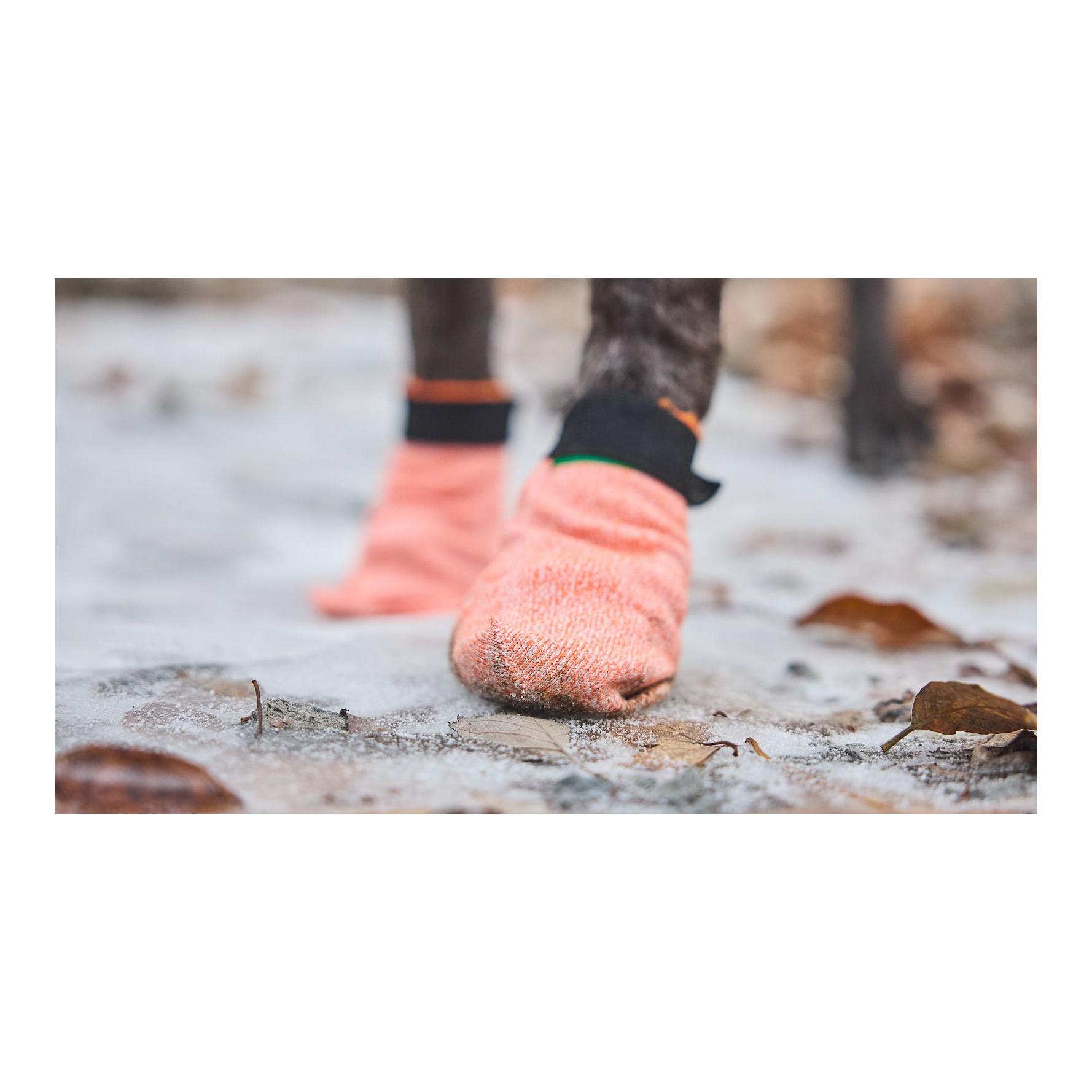 Non-stop Dogwear Protector Light Socks Hundeschuhe