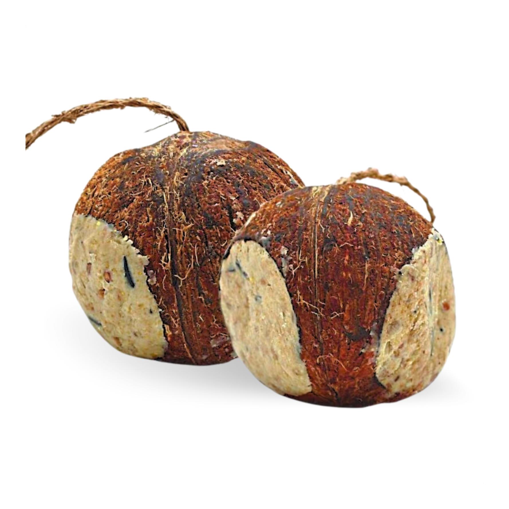 Ganze Kokosnuss mit 3 Löchern gefüllt