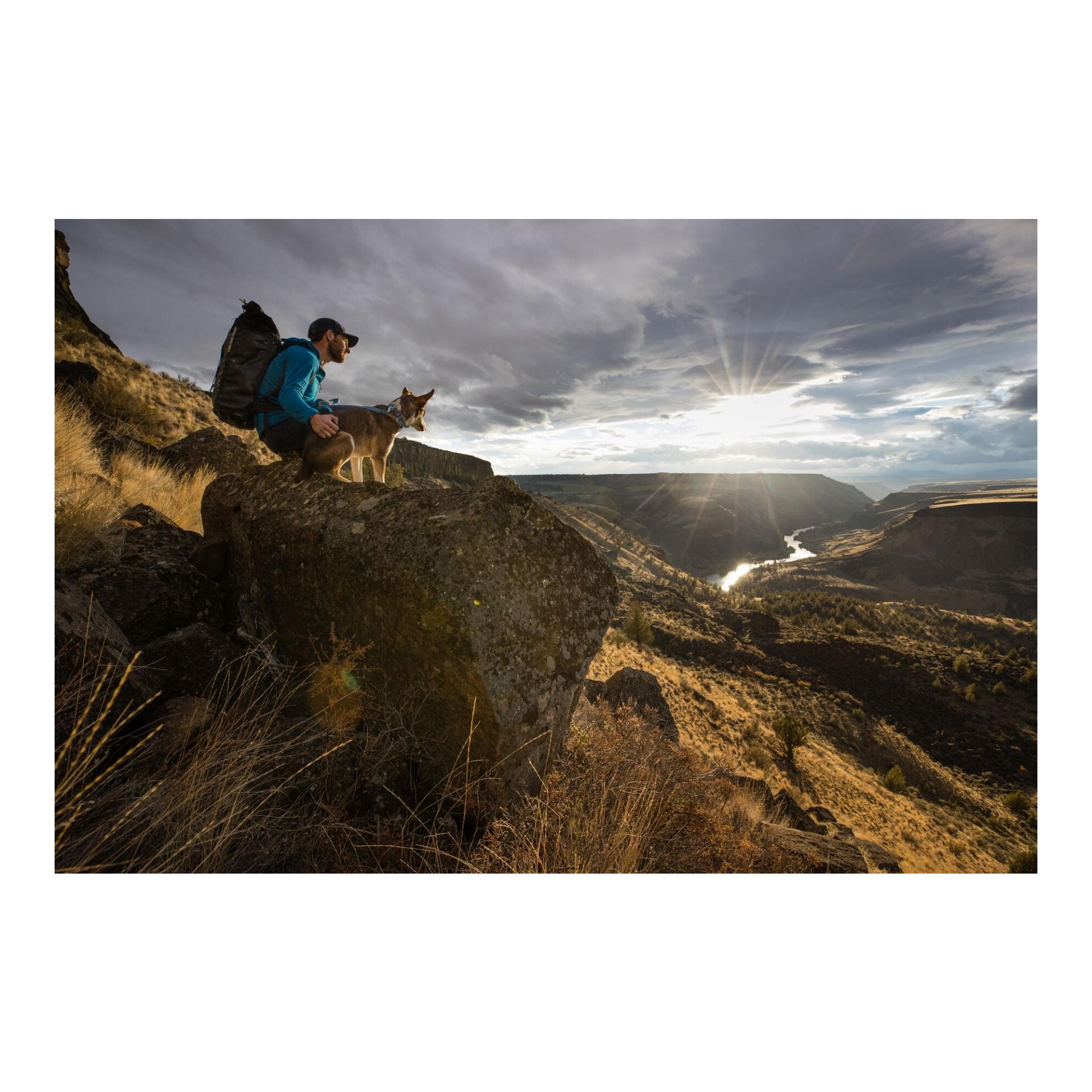 Hi & Light™ Halsband