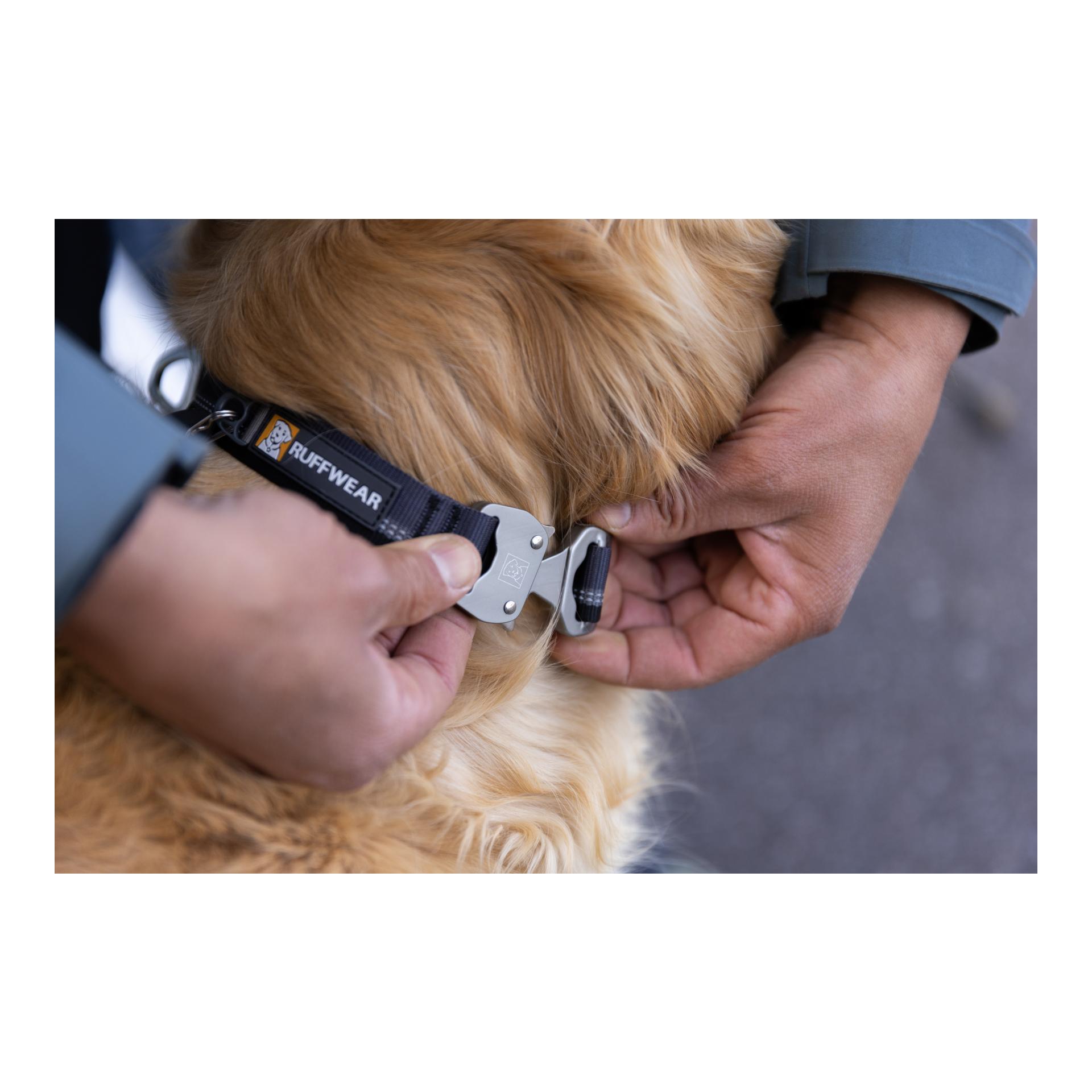 Top Rope Collar Hundehalsband