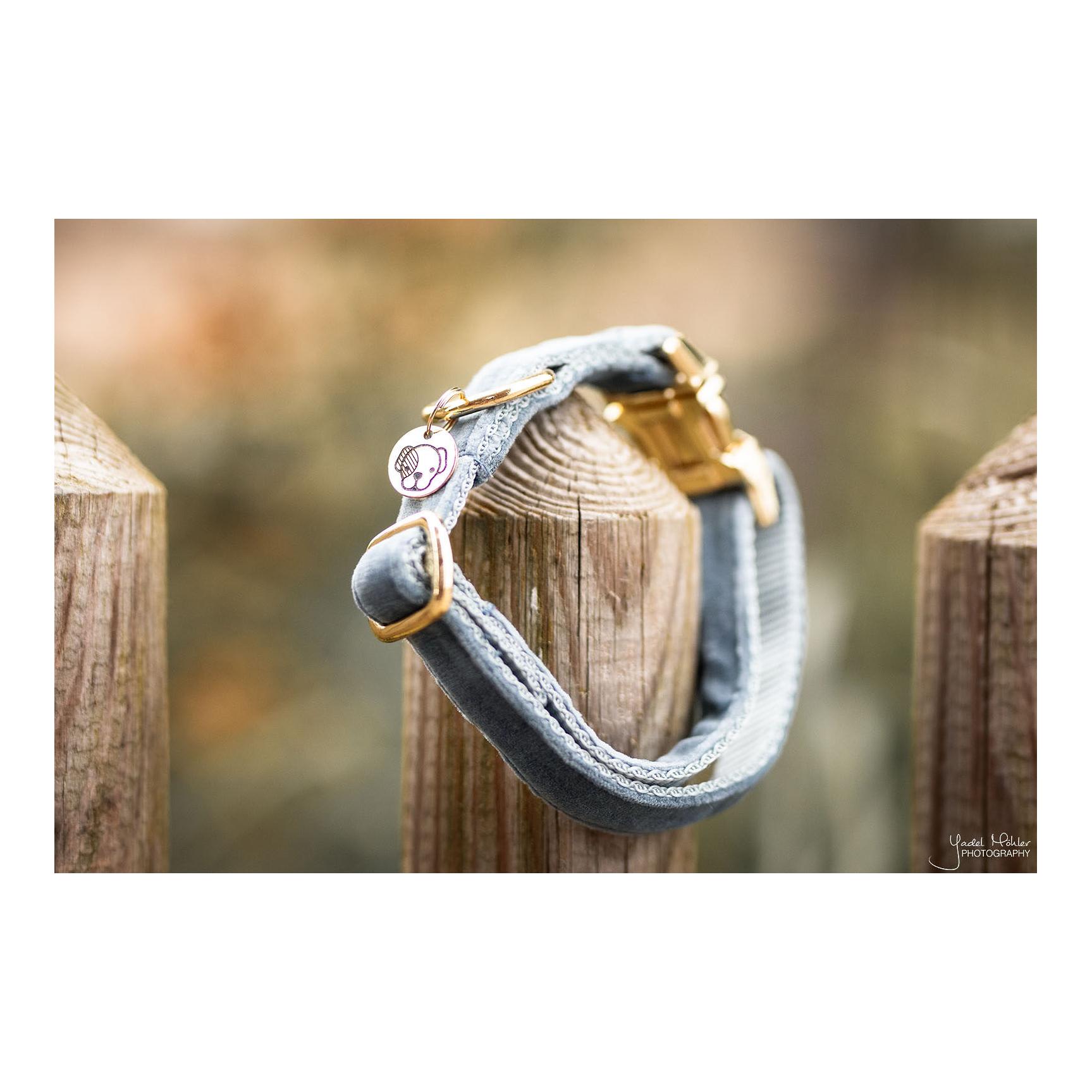 Kentucky Dogwear Hundehalsband Velvet - light blue