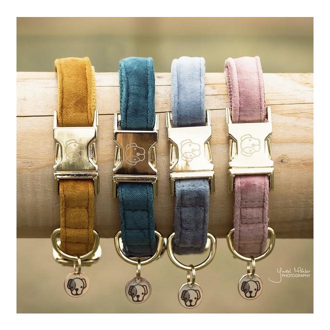 Kentucky Dogwear Hundehalsband Velvet - light blue