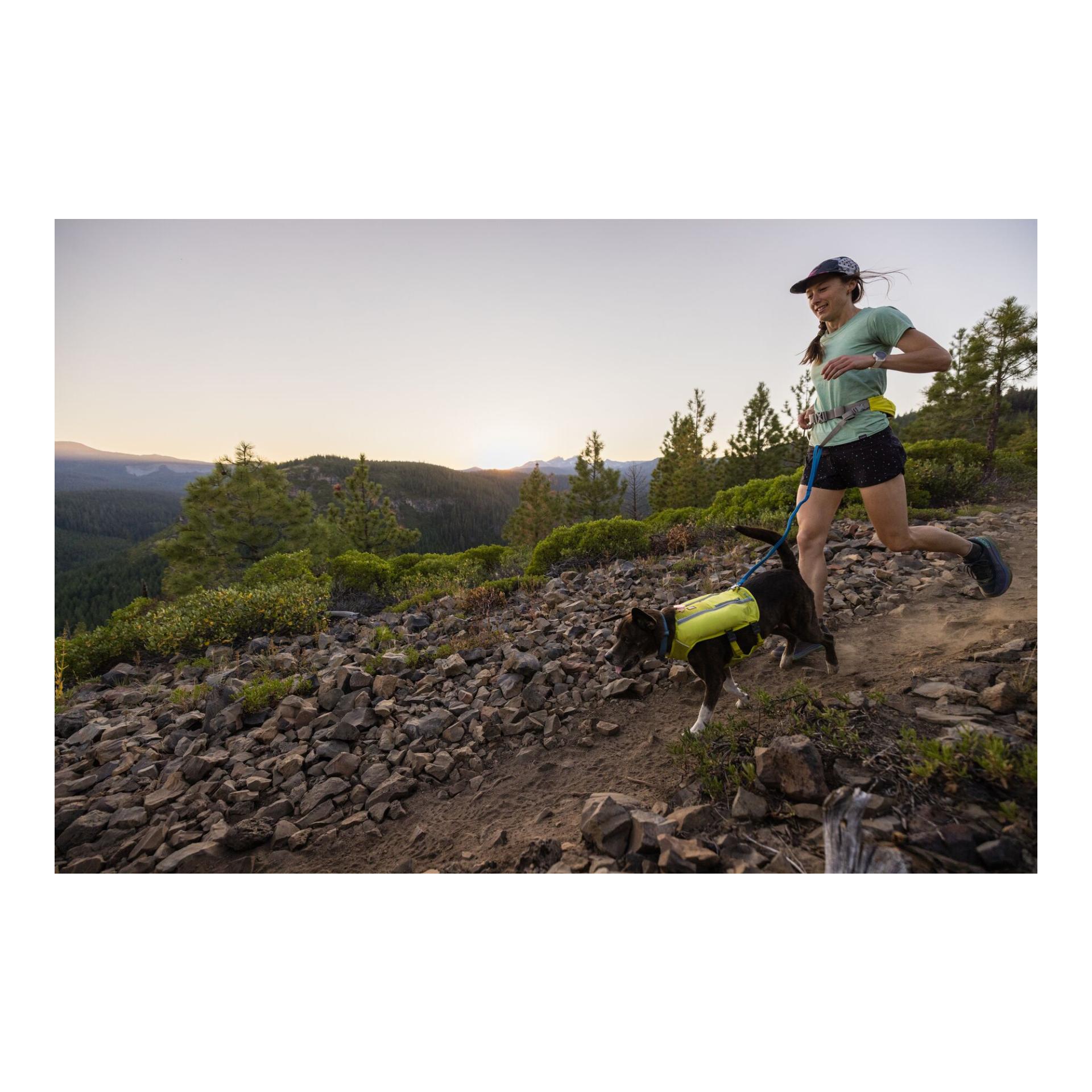 Trail Runner™ Leash Joggingleine