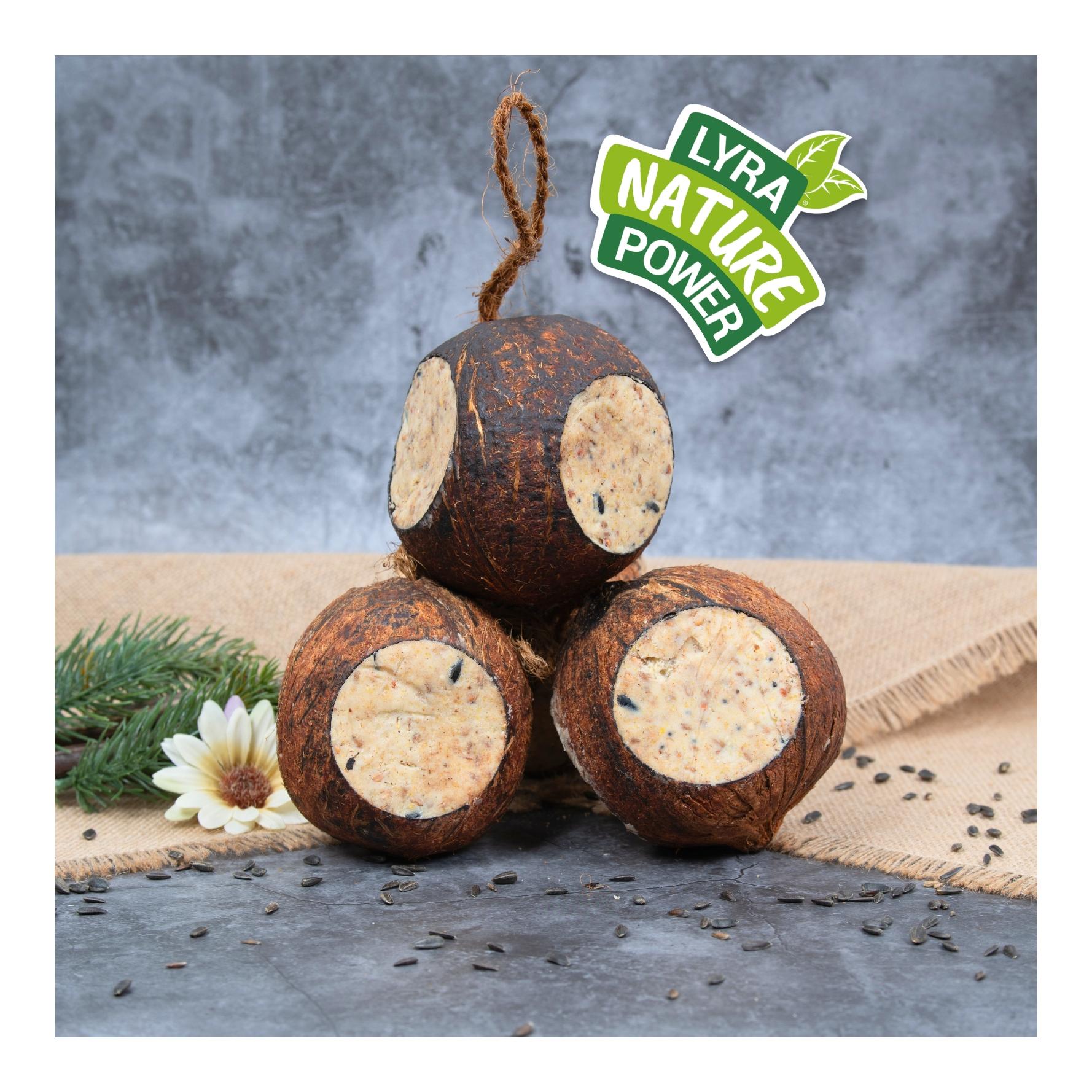 Ganze Kokosnuss mit 3 Löchern gefüllt