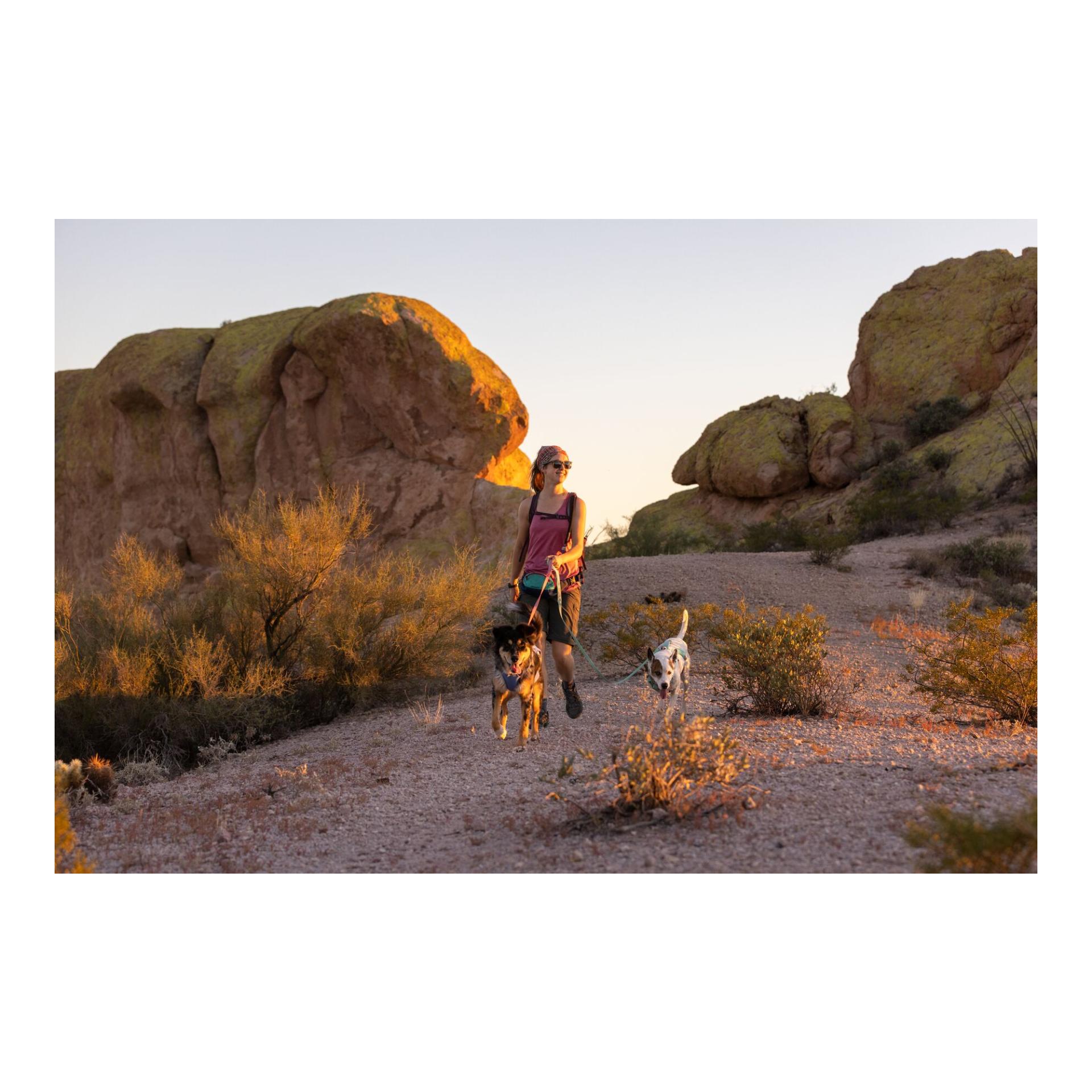 Swamp Cooler™ Geschirr