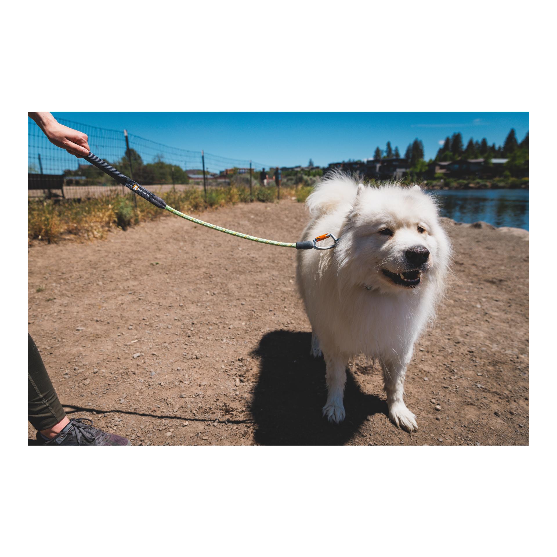 Ruffwear Knot-a-Long Leash Hundeleine
