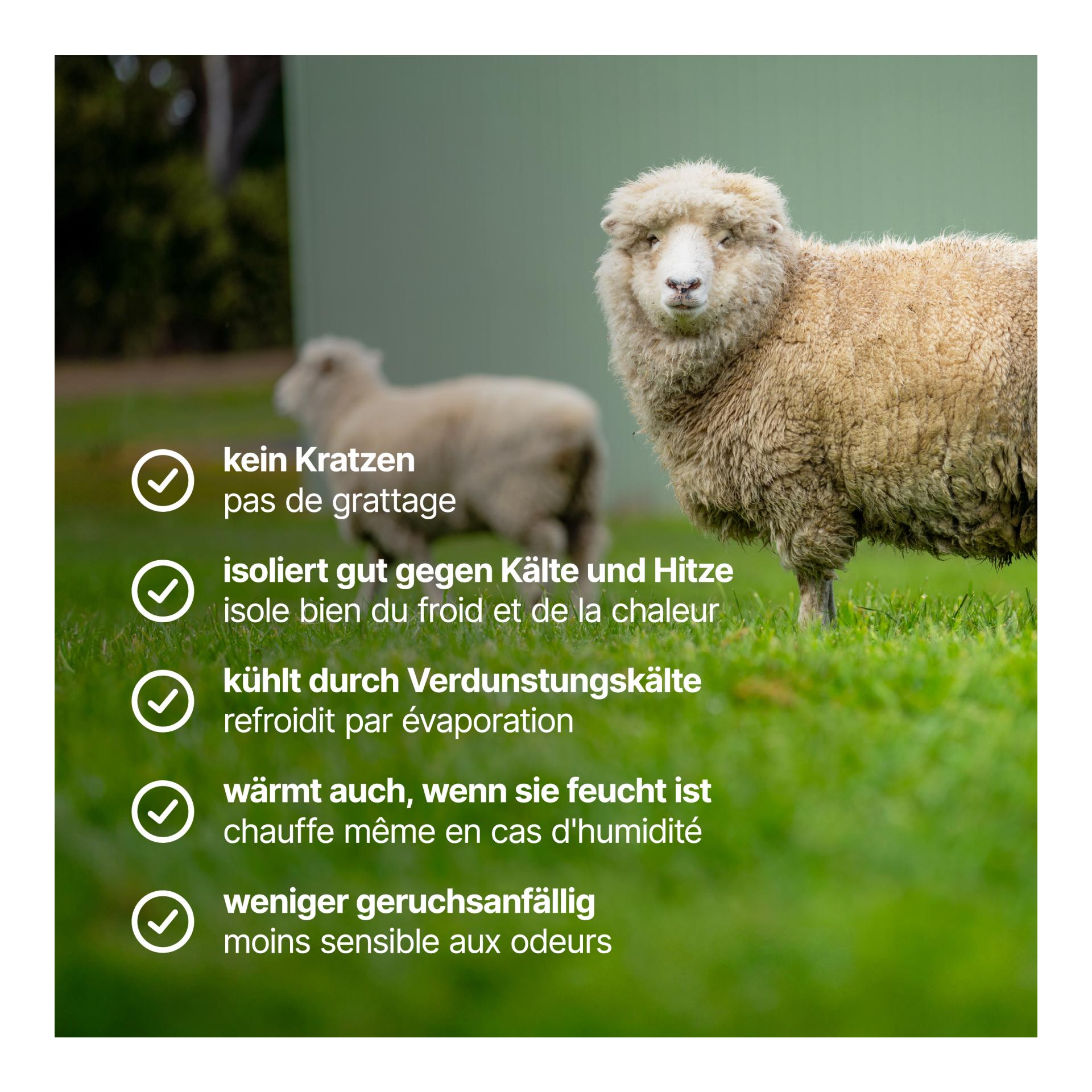 Descriptif du produit chaussettes d’hiver unisexe en laine Mérino WHI - jaune moutarde