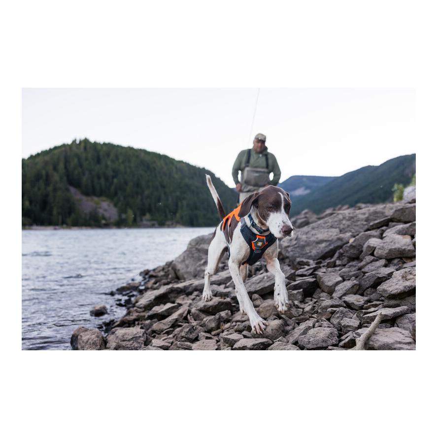 Brush Guard™ Brustschutz