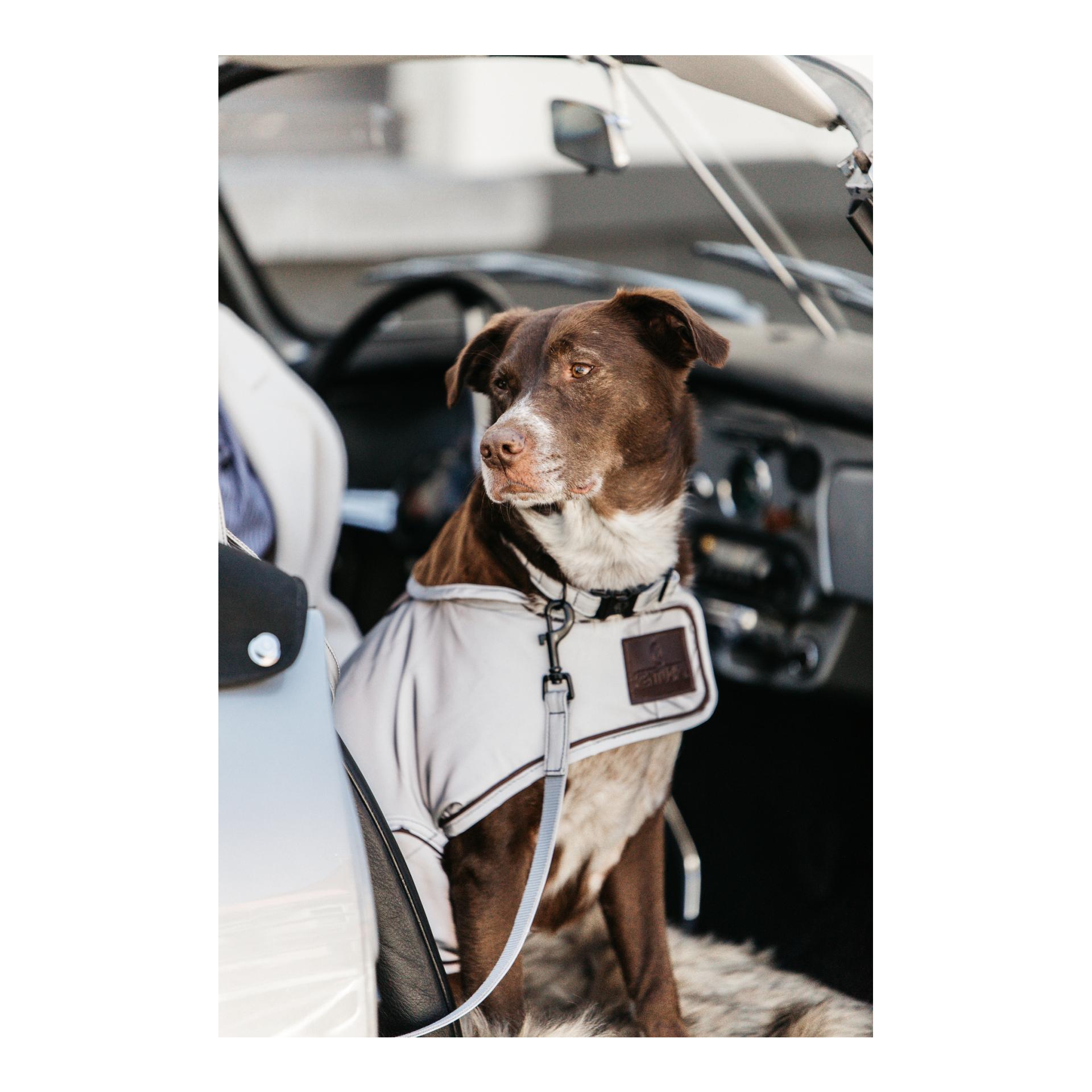 Hundemantel reflektierend & wasserabweisend