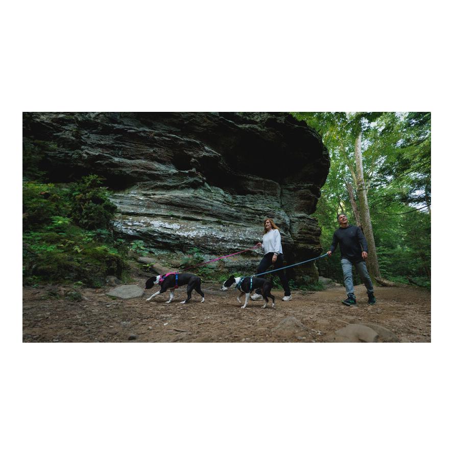 Hi & Light™ Geschirr