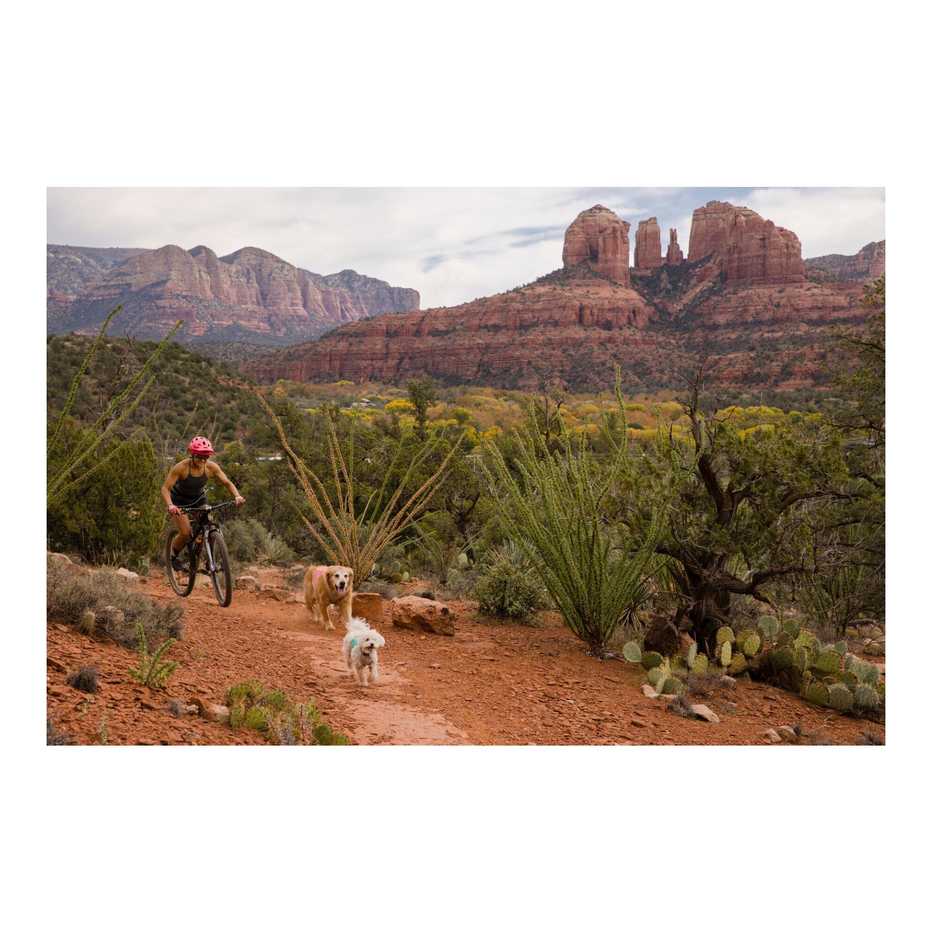 Swamp Cooler Zip™ Weste