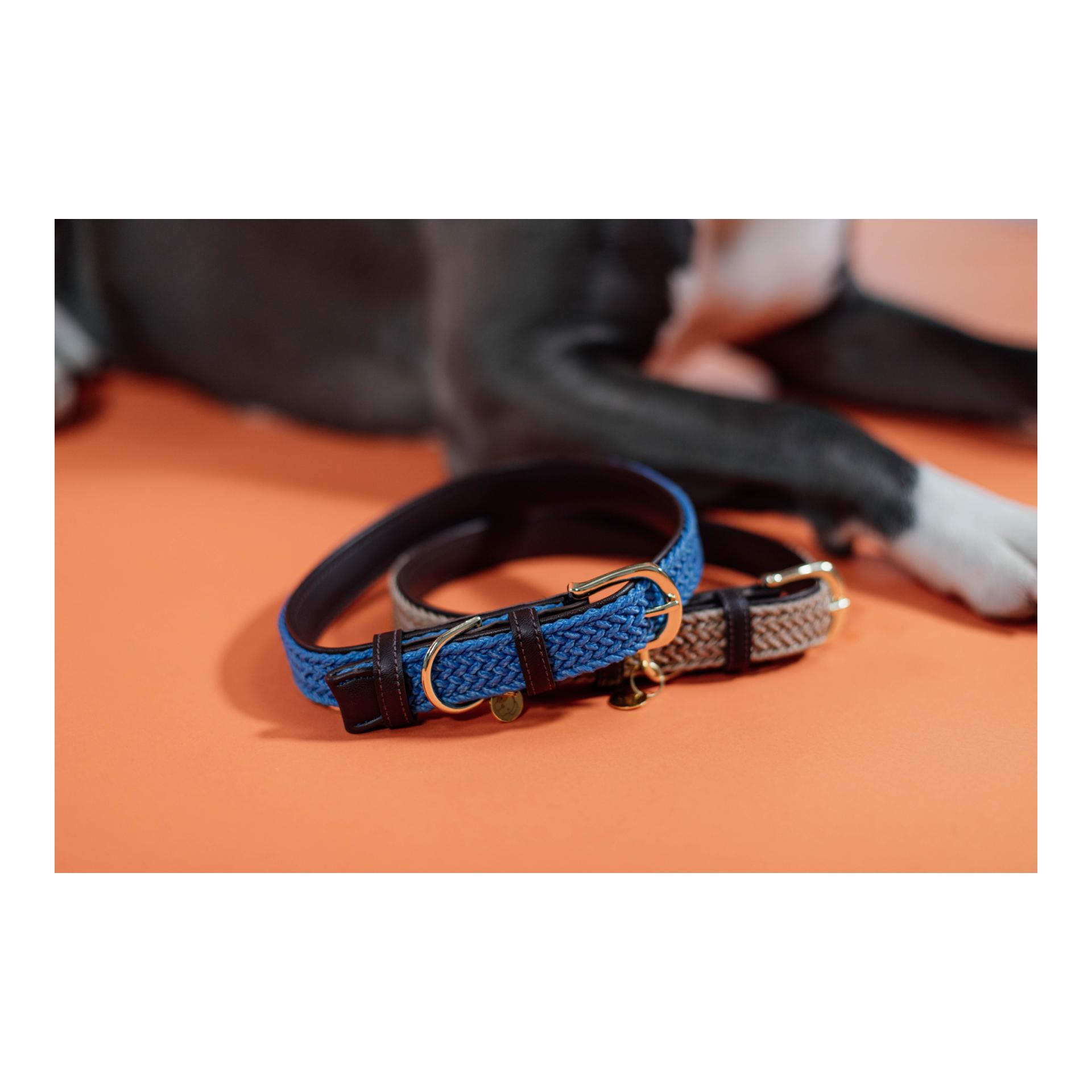 Kentucky Dogwear Hundehalsband Nylon geflochten