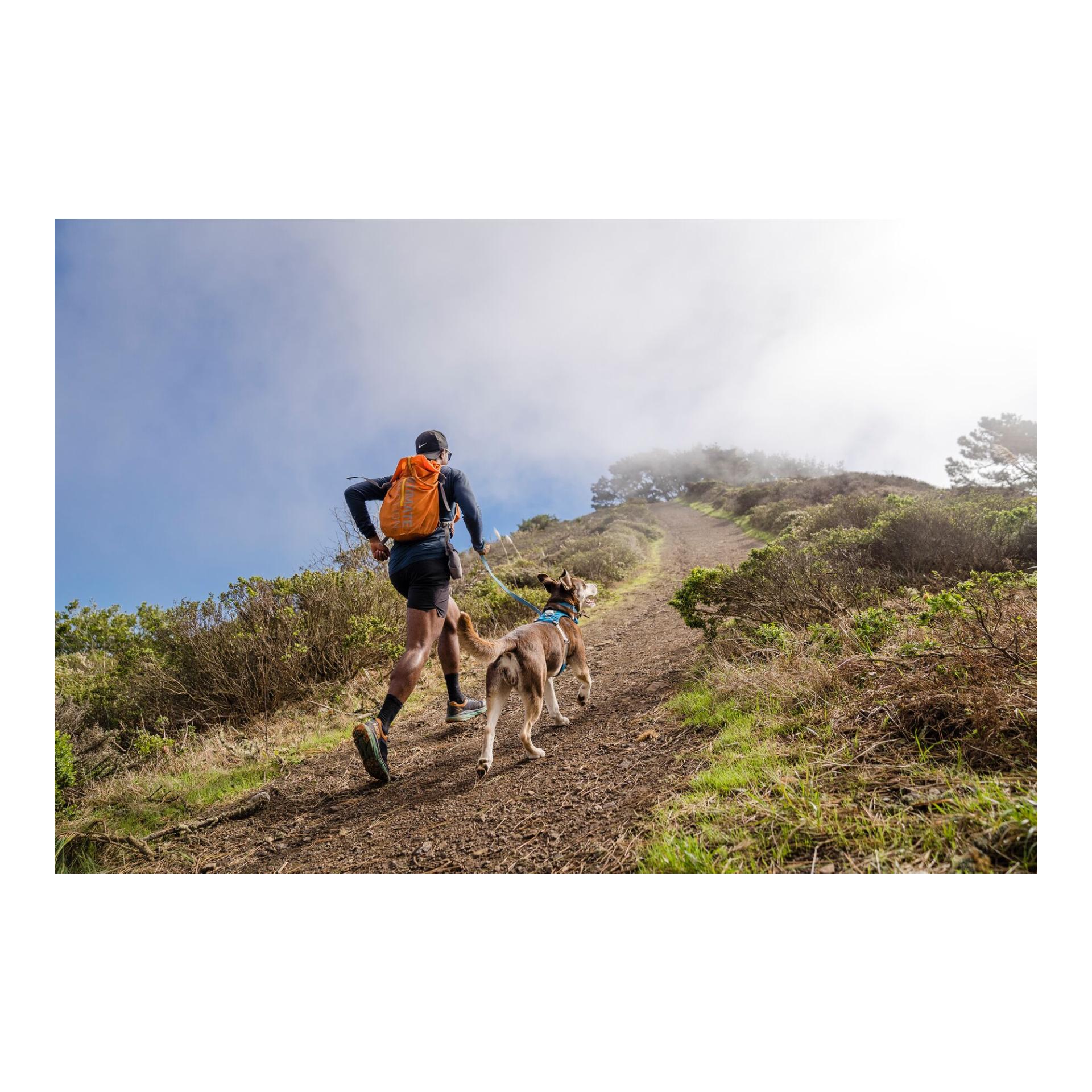 Hi & Light™ Geschirr