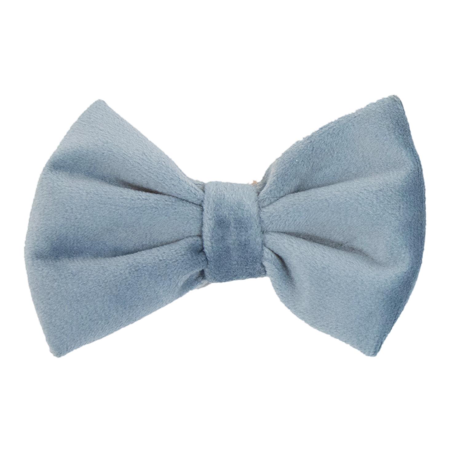 Kentucky Dogwear Fliege velvet - Light Blue -