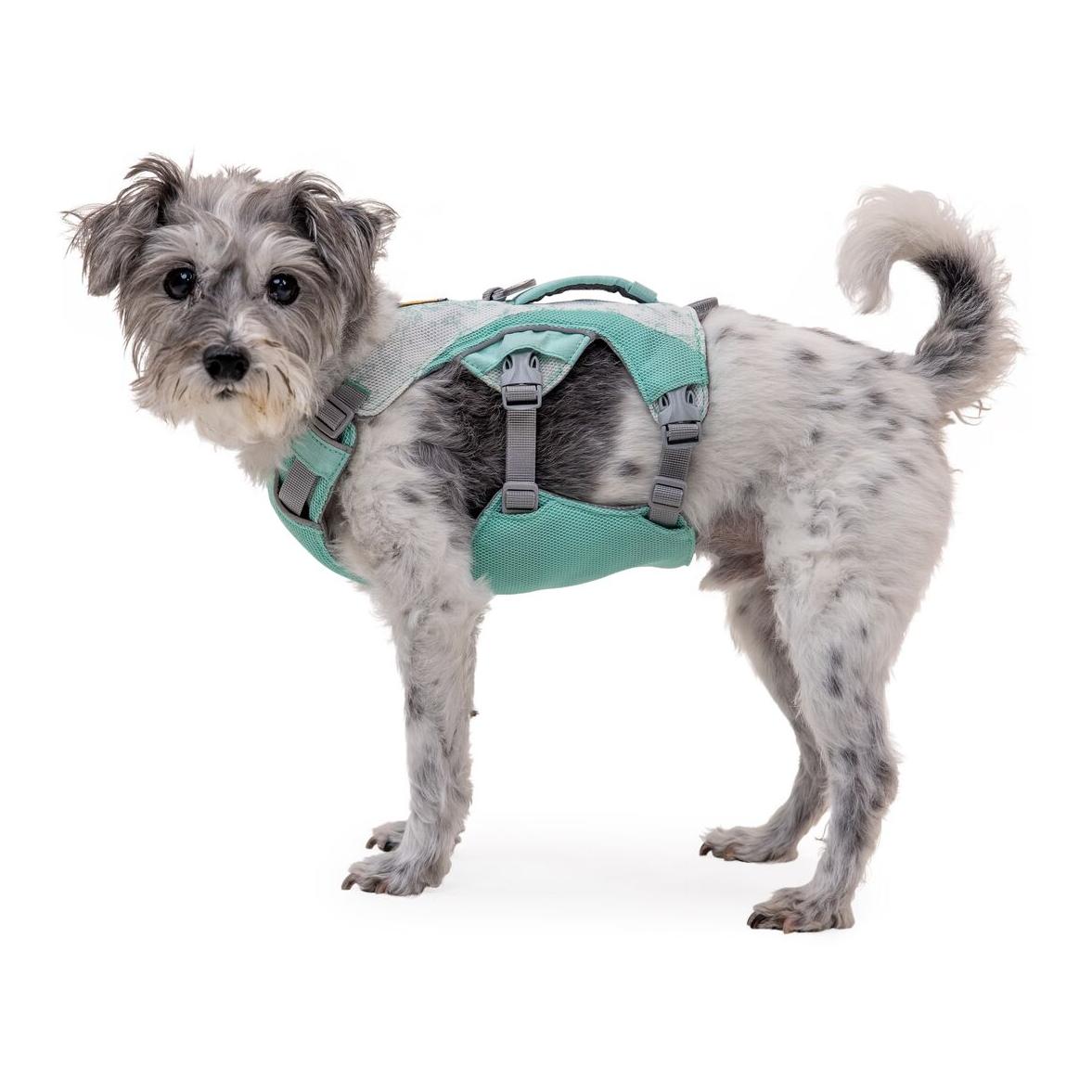 Swamp Cooler™ Geschirr