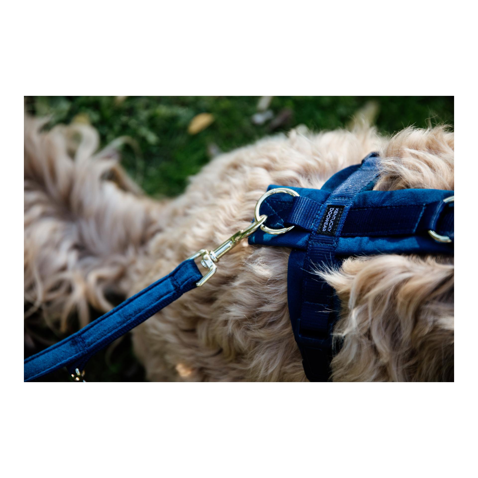 Hundegeschirr Active Velvet