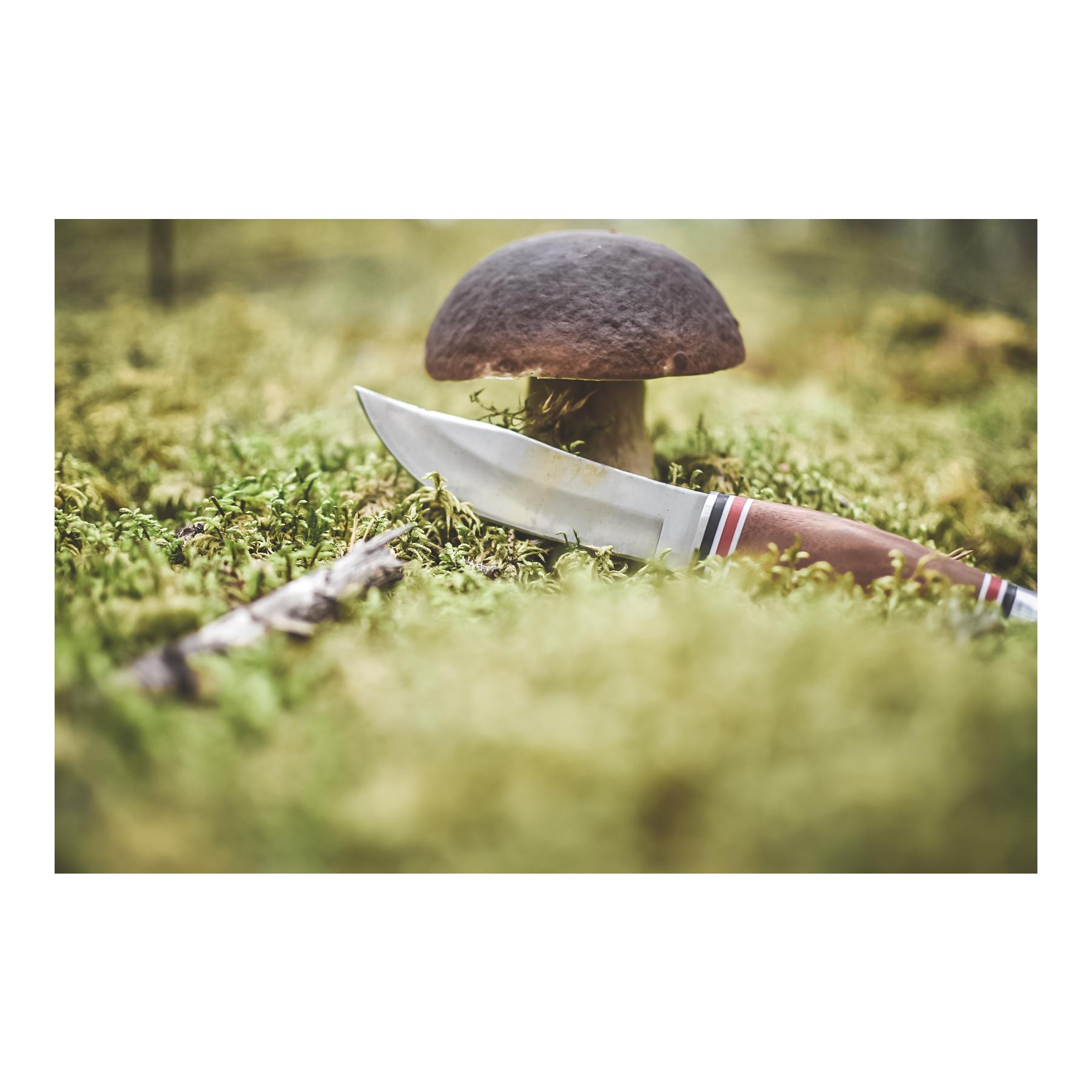 GEILO - Jagd/Outdoormesser mit Lederscheide GEILO - Jagd/Outdoormesser mit Lederscheide