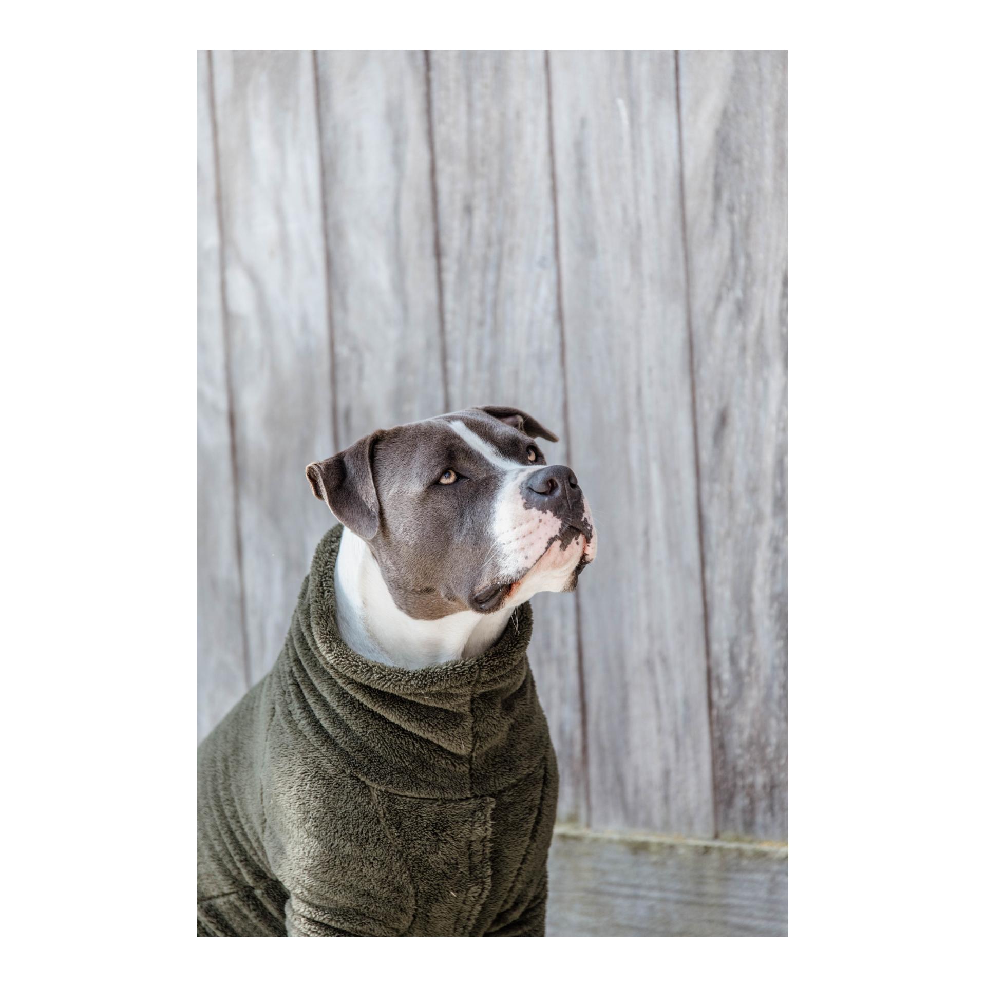 Hundepullover Teddy Fleece - Pine Green