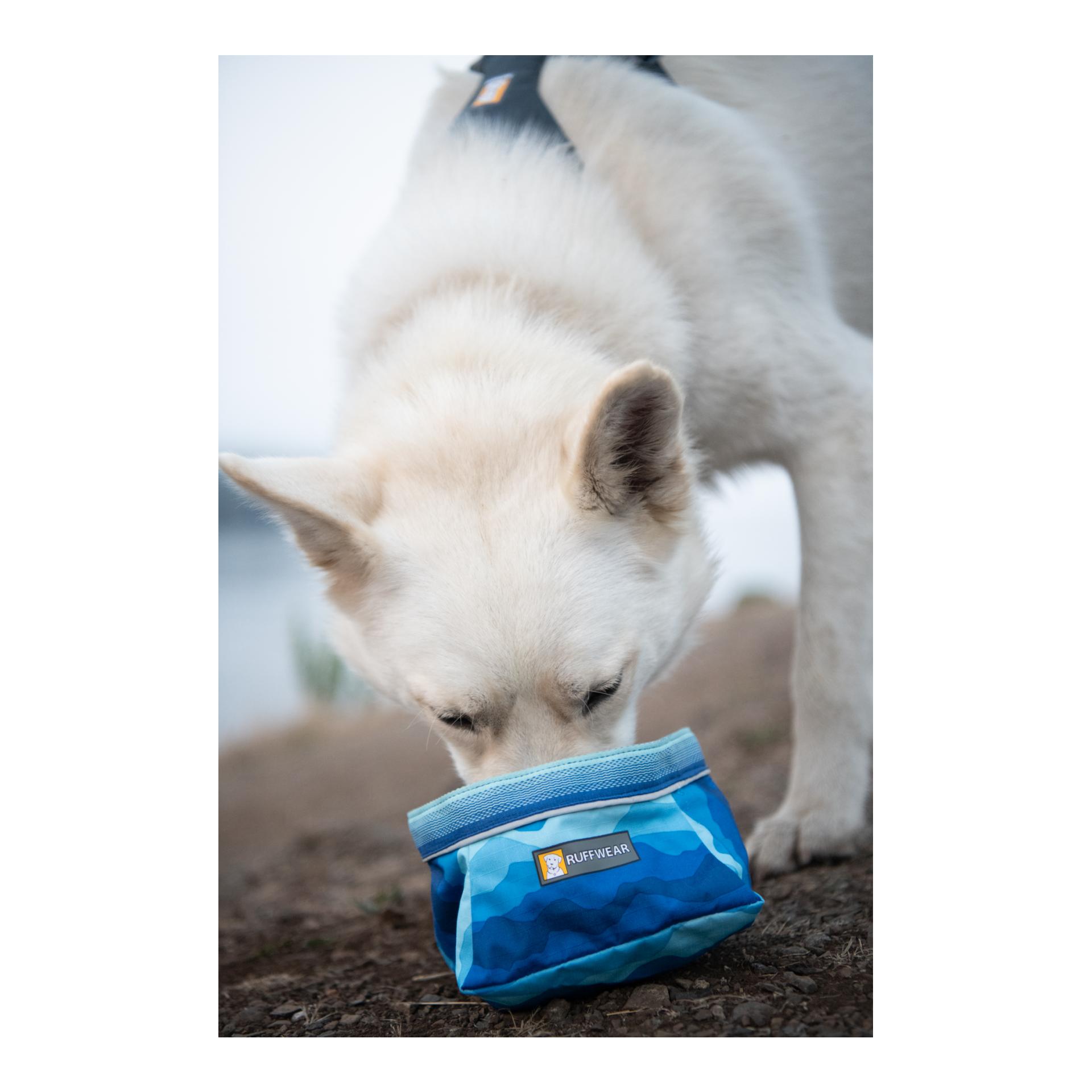 Quencher™ Bowl Hundereisenapf