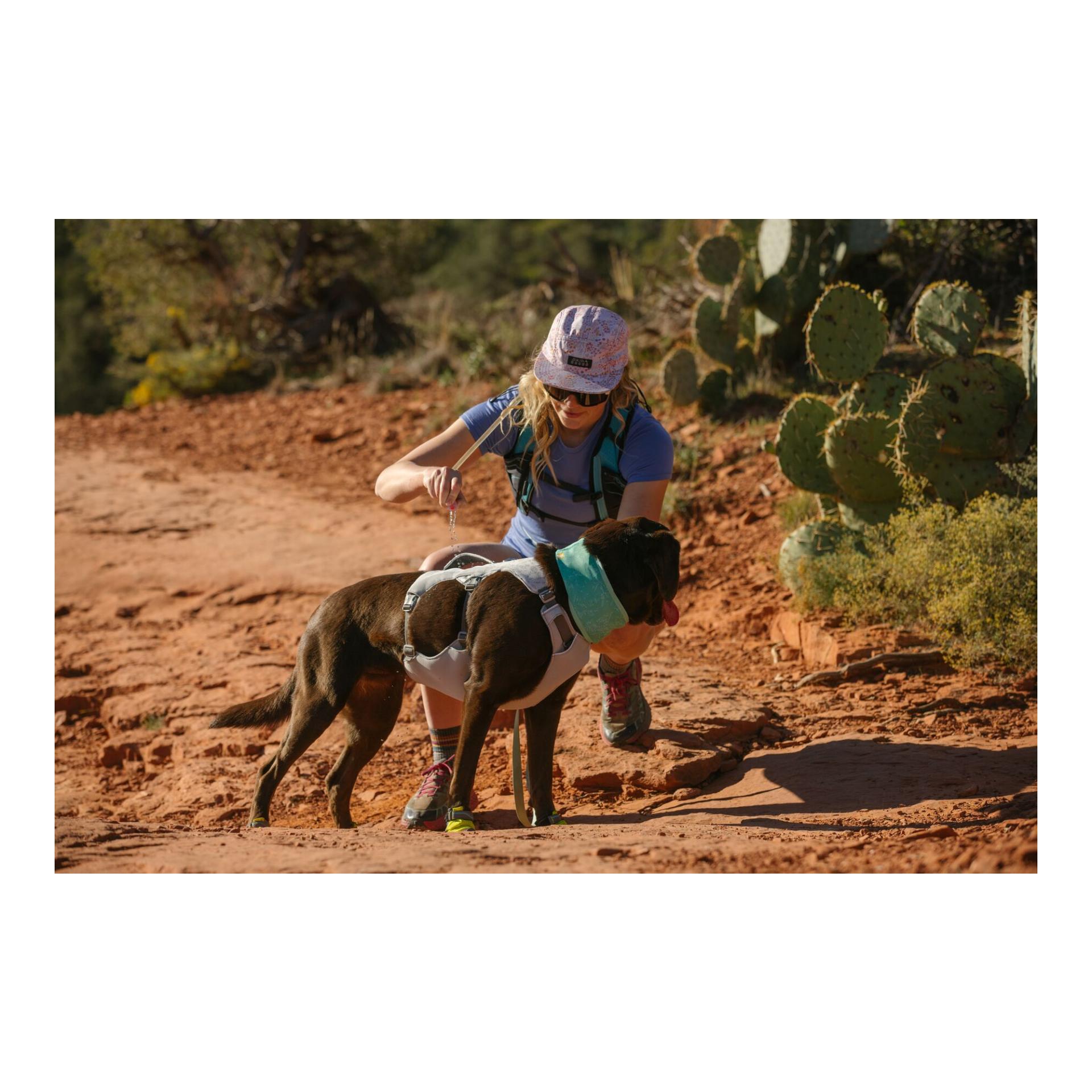 Swamp Cooler™ Geschirr