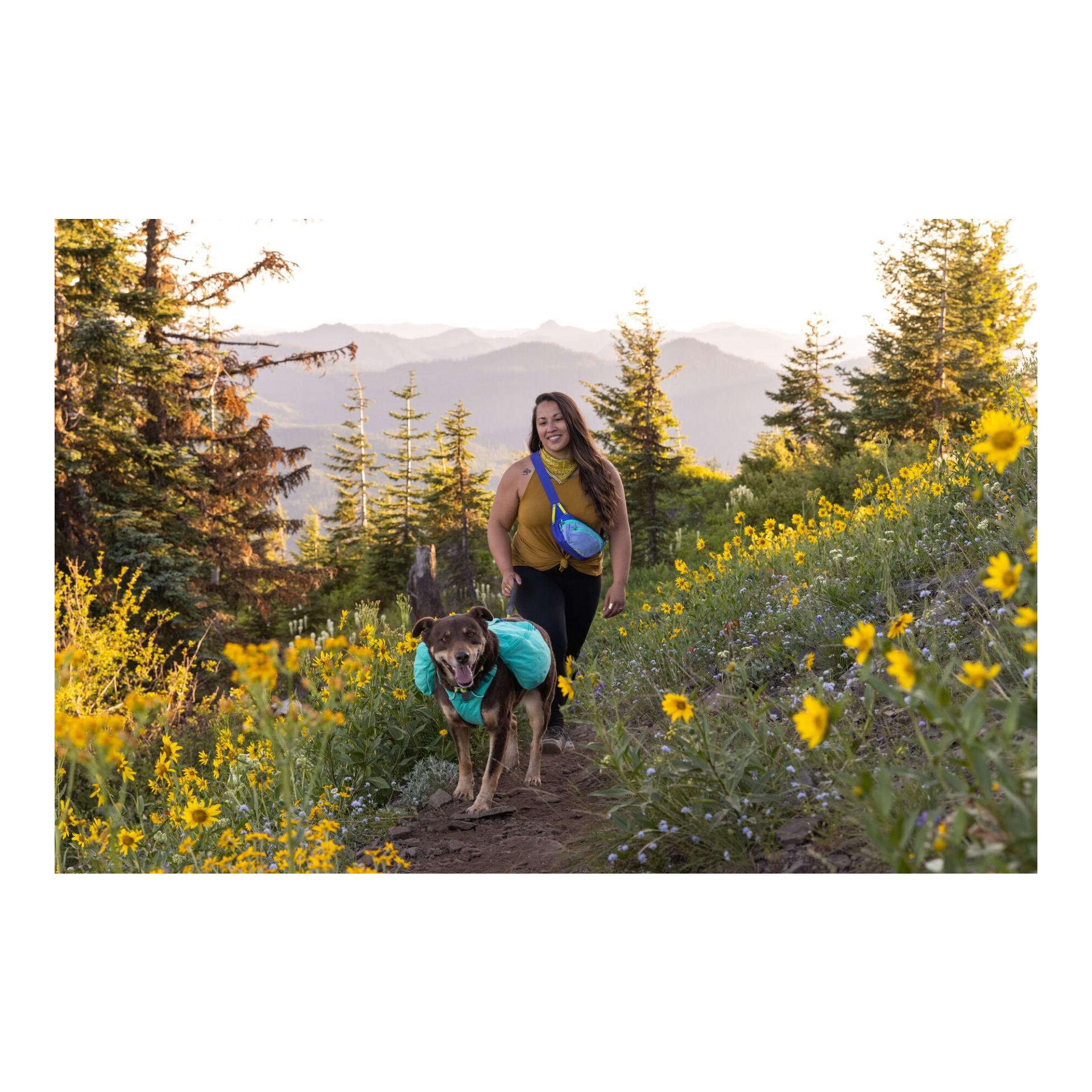 Home Trail™ Hip Pack Bauchtasche