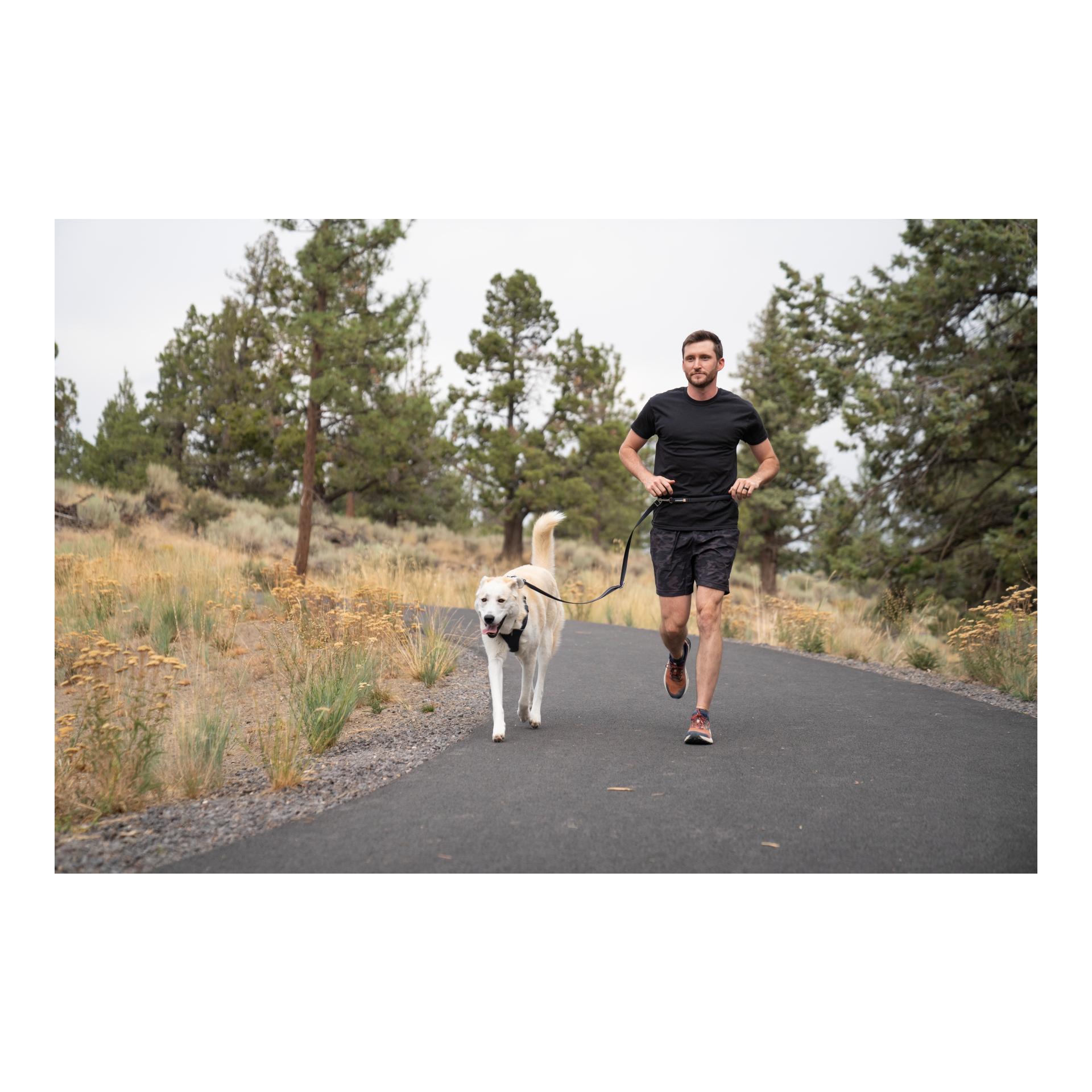 Switchbak™ Leash Hundeleine