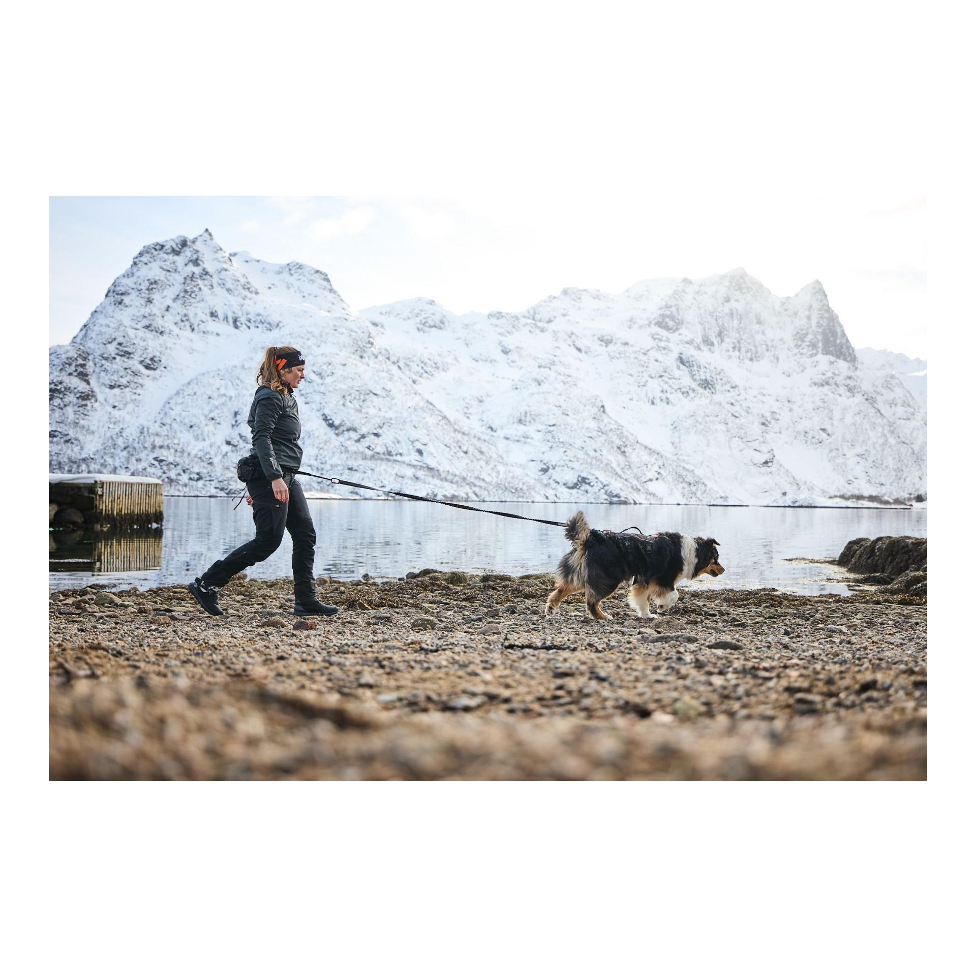 Hundegeschirr Rock Harness long 