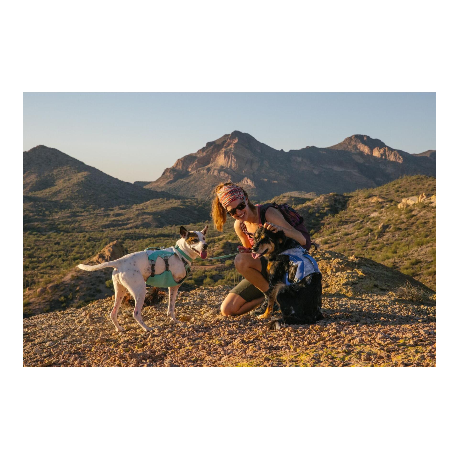 Swamp Cooler™ Geschirr