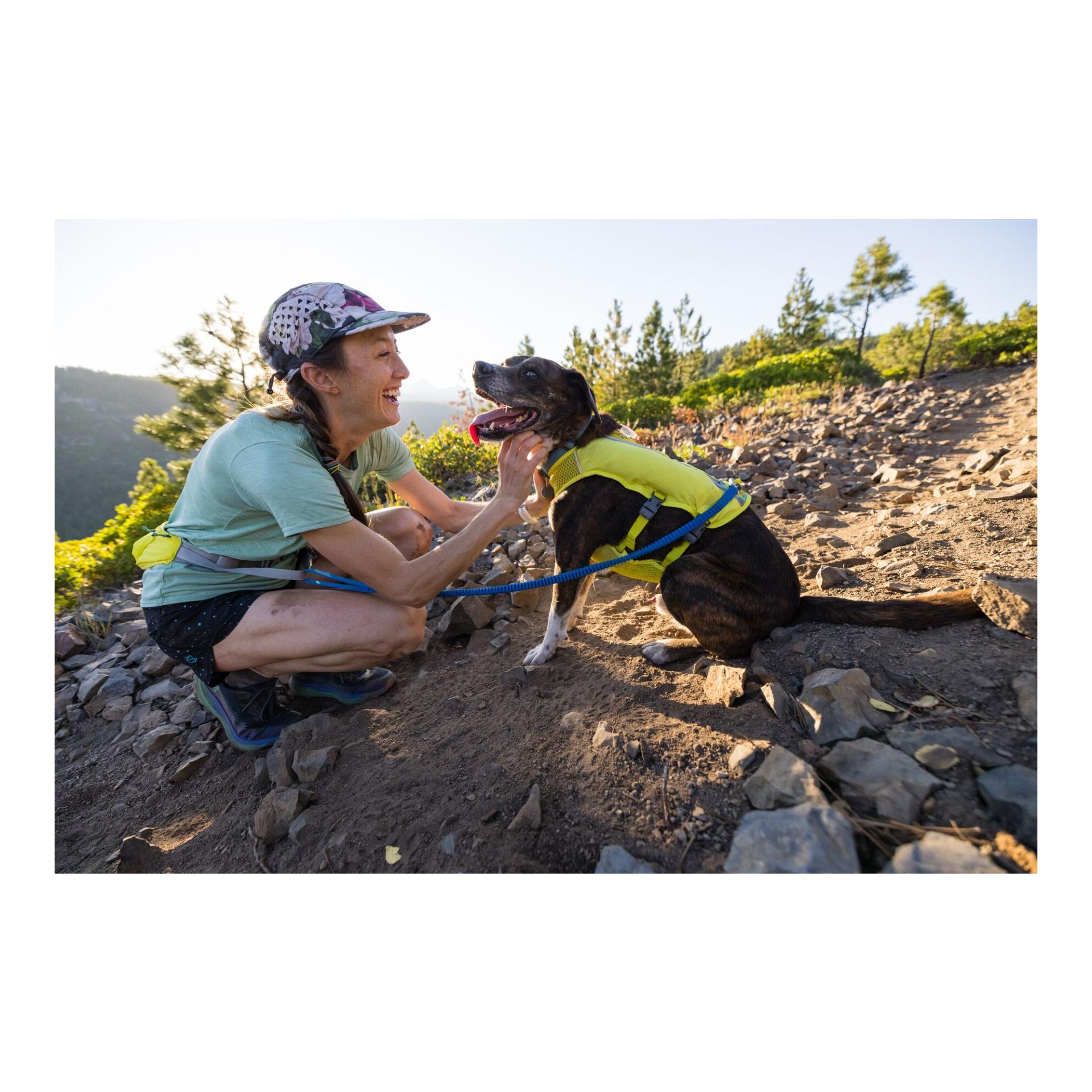 Trail Runner™ Leash Joggingleine