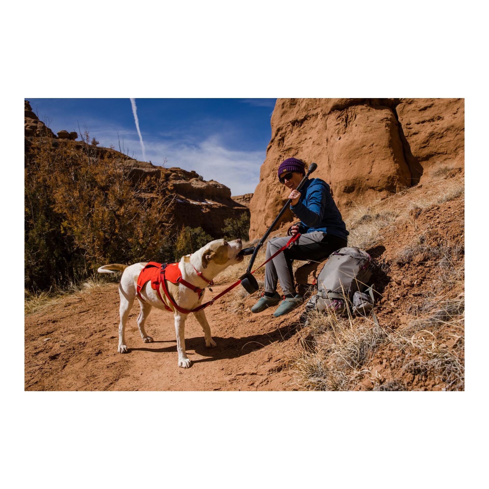 Web Master™ Geschirr