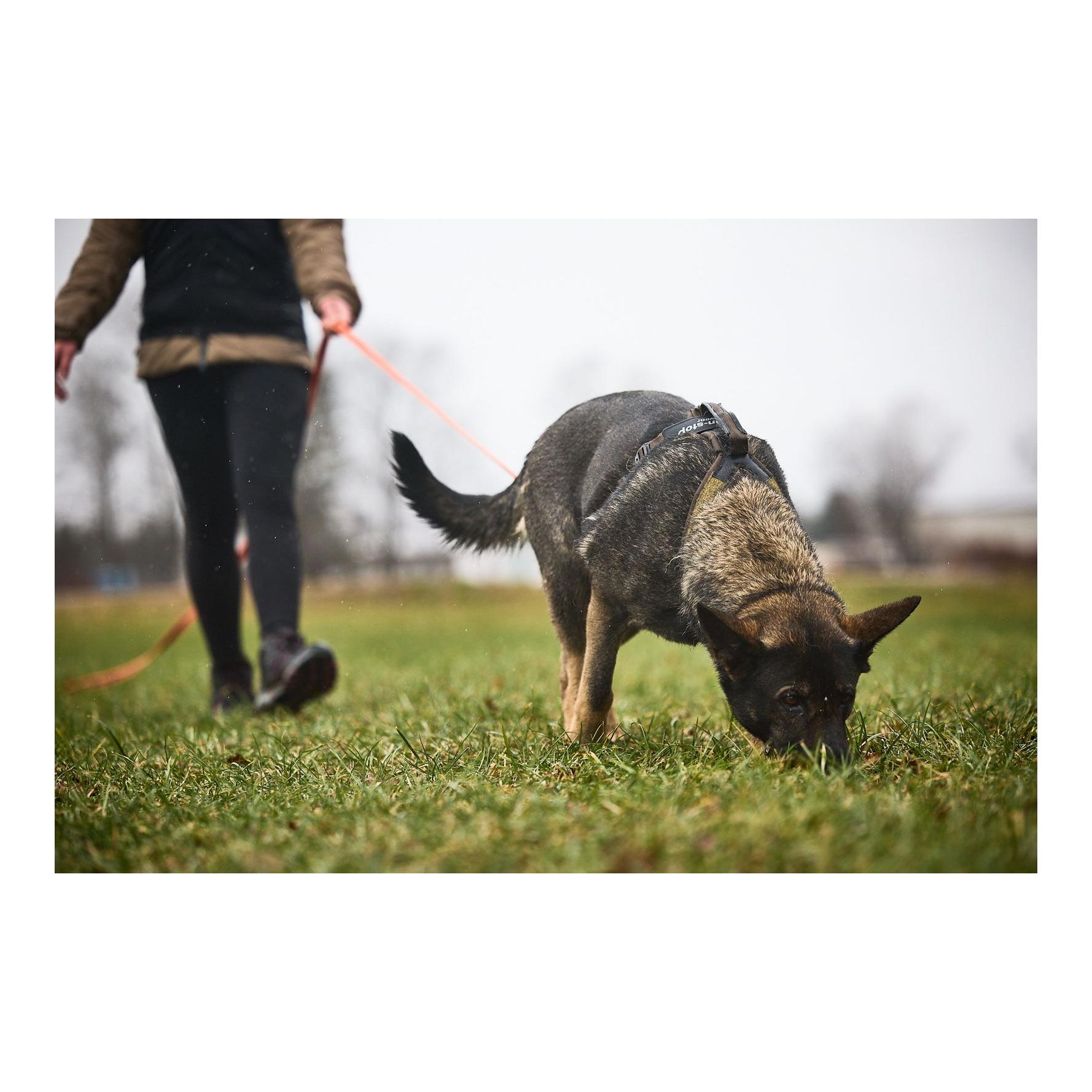 Non-stop Dogwear Hundegeschirr Line Harness Grip Working Dog