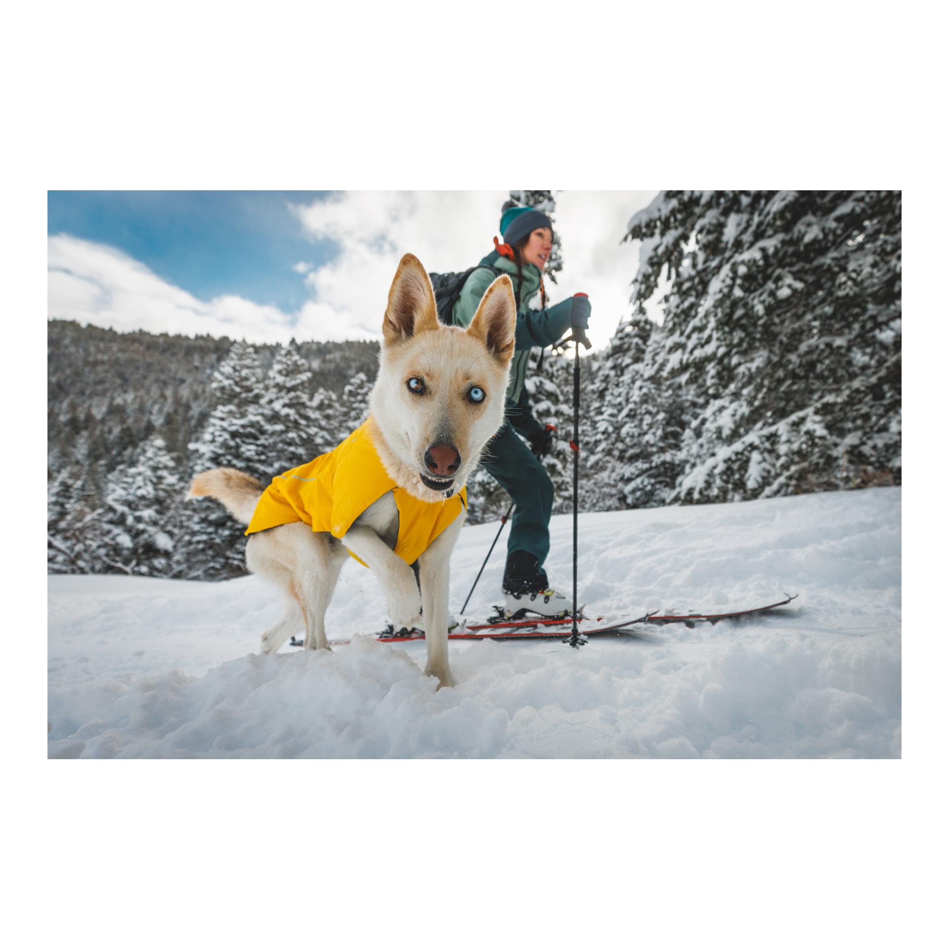 Ruffwear Hundemantel Vert Jacket