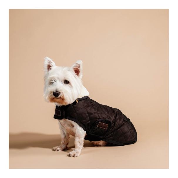 Hundemantel Original - brown