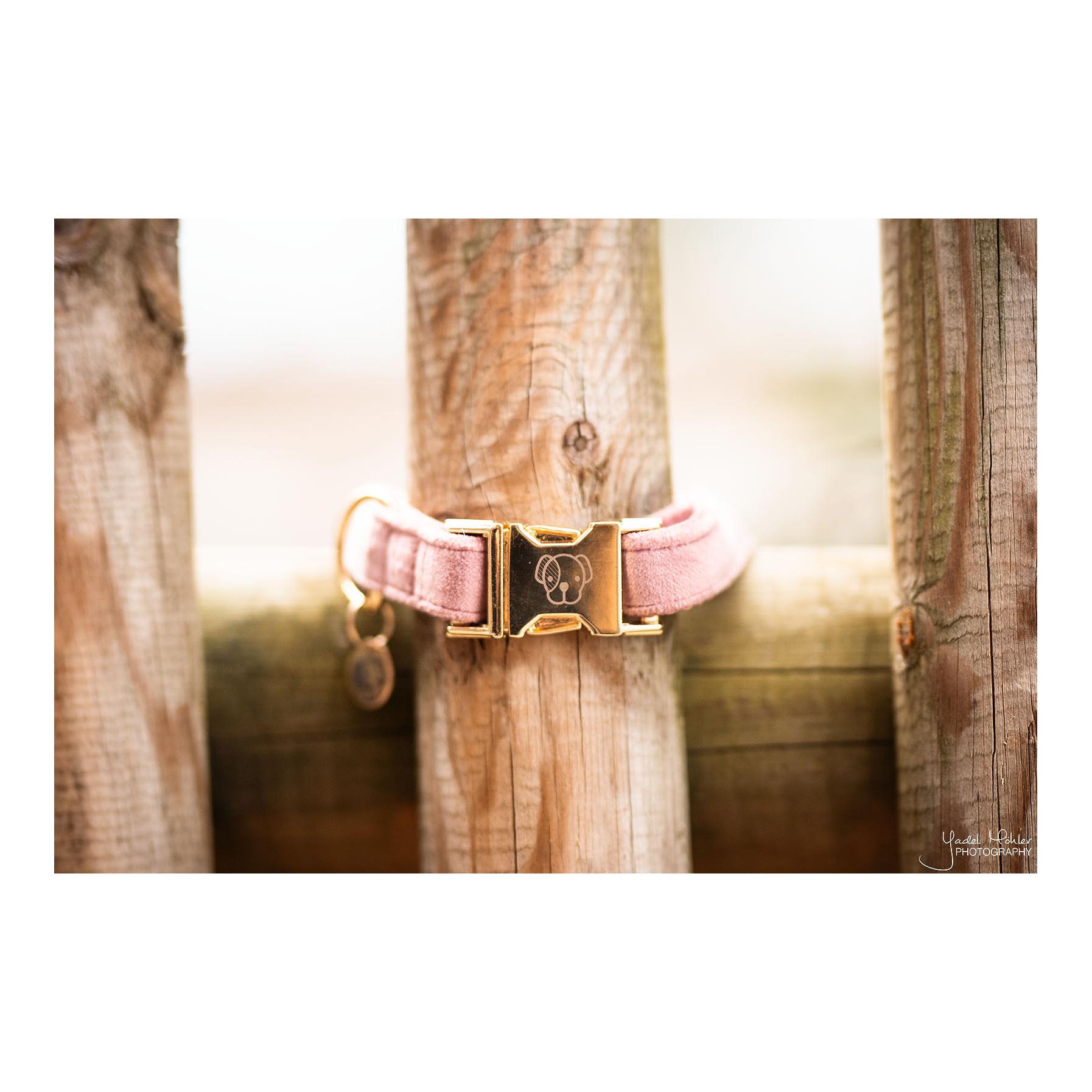 Kentucky Dogwear Hundehalsband velvet - old rose