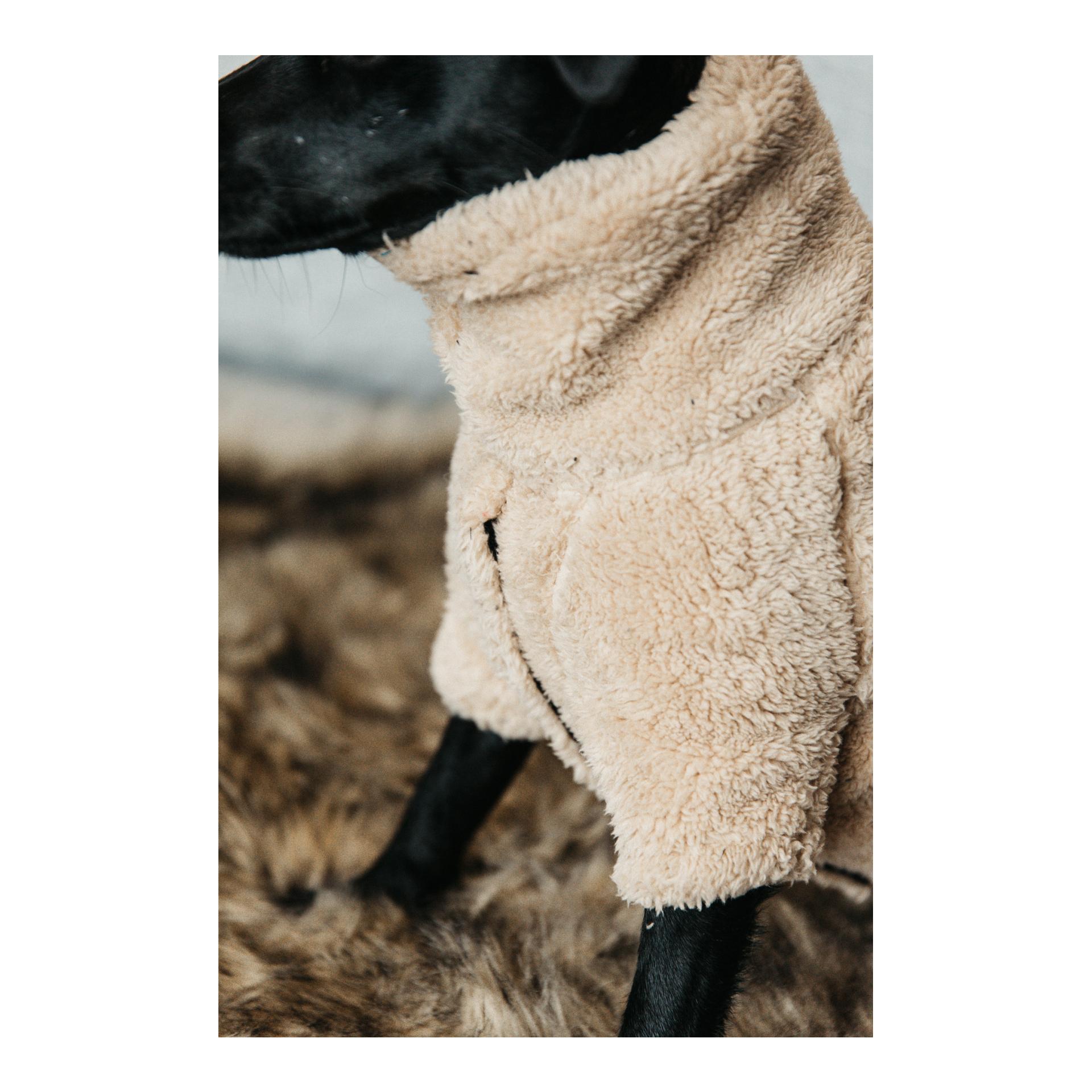 Pullover pour chien Teddy Fleece - beige 