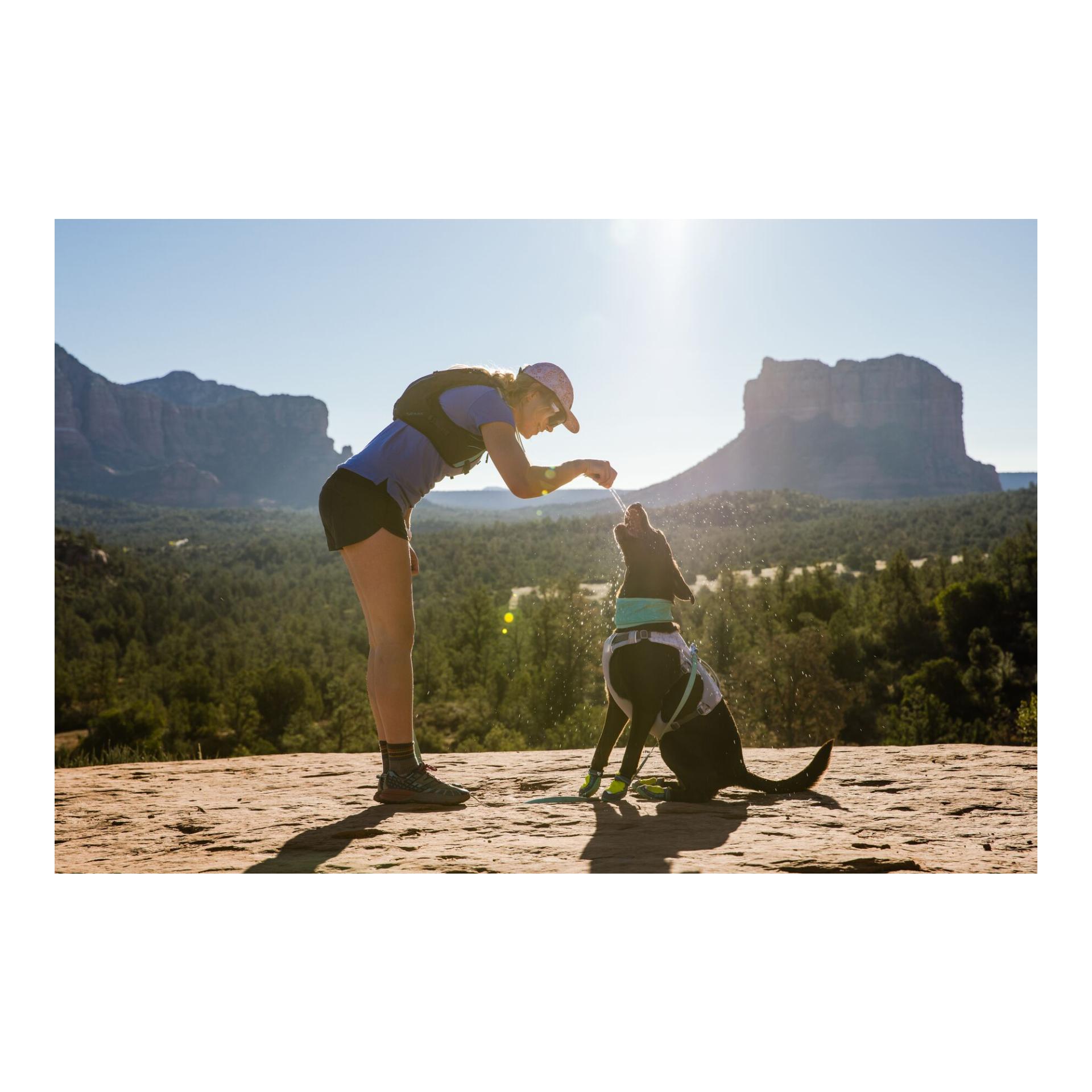 Swamp Cooler™ Geschirr