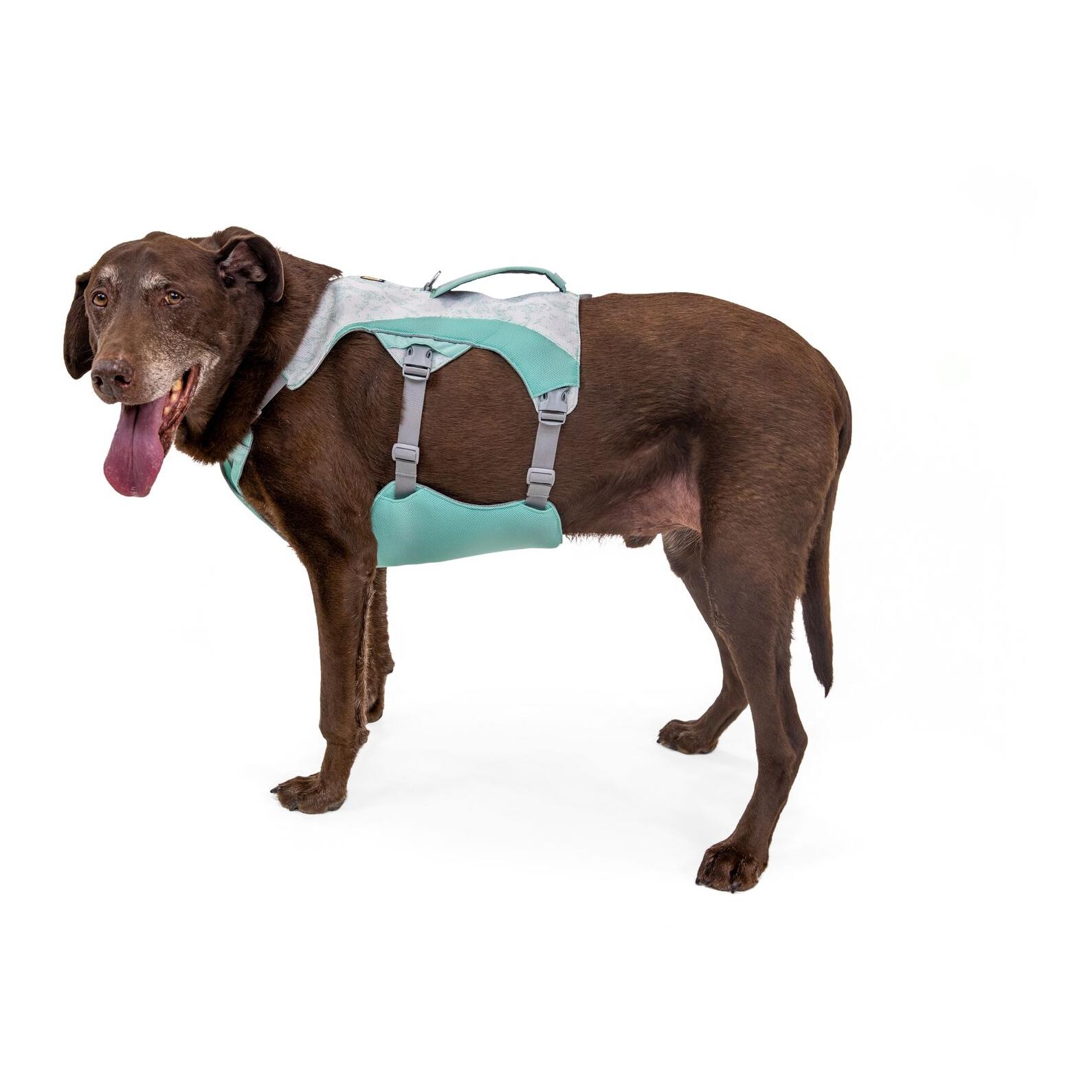 Swamp Cooler™ Geschirr