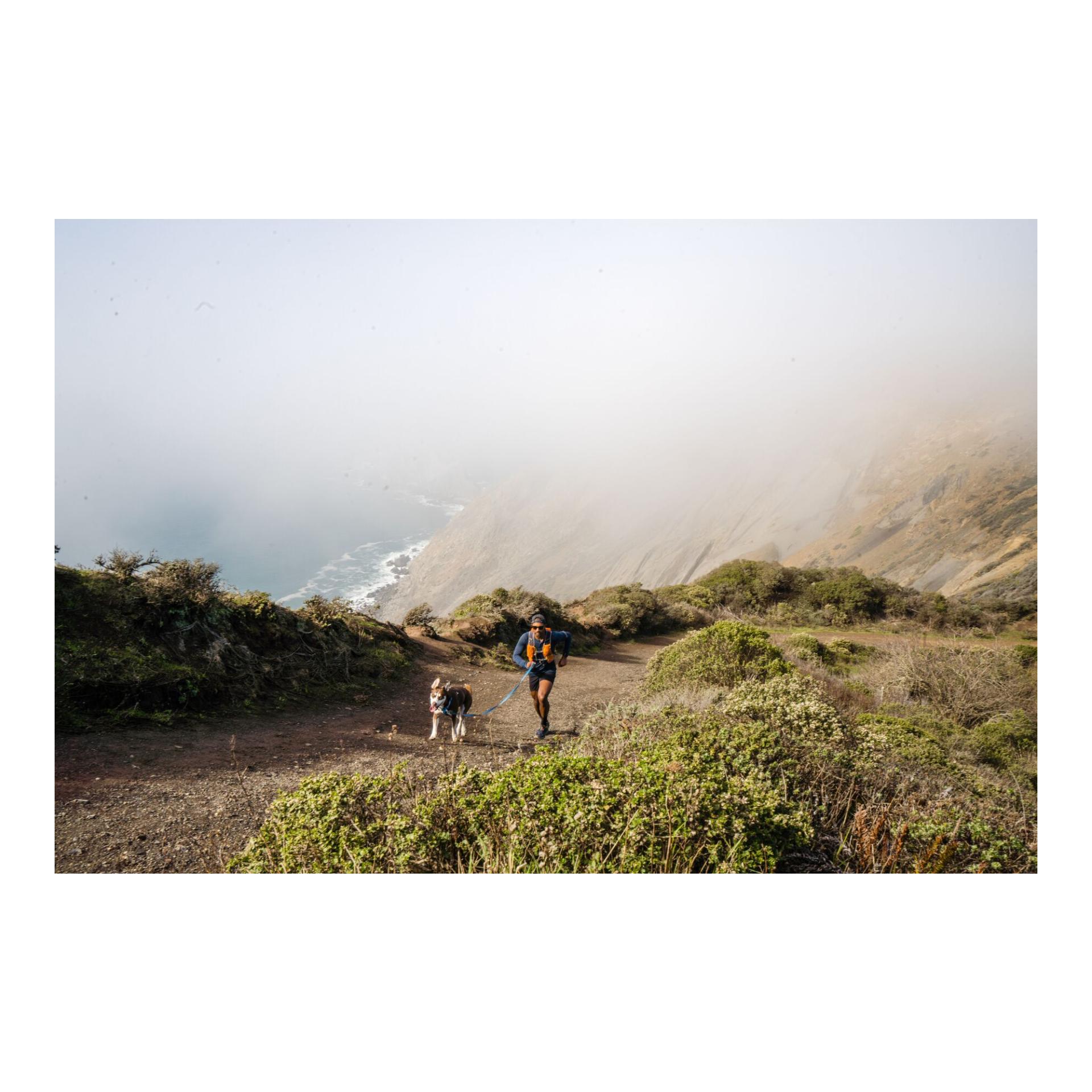 Hi & Light™ Geschirr