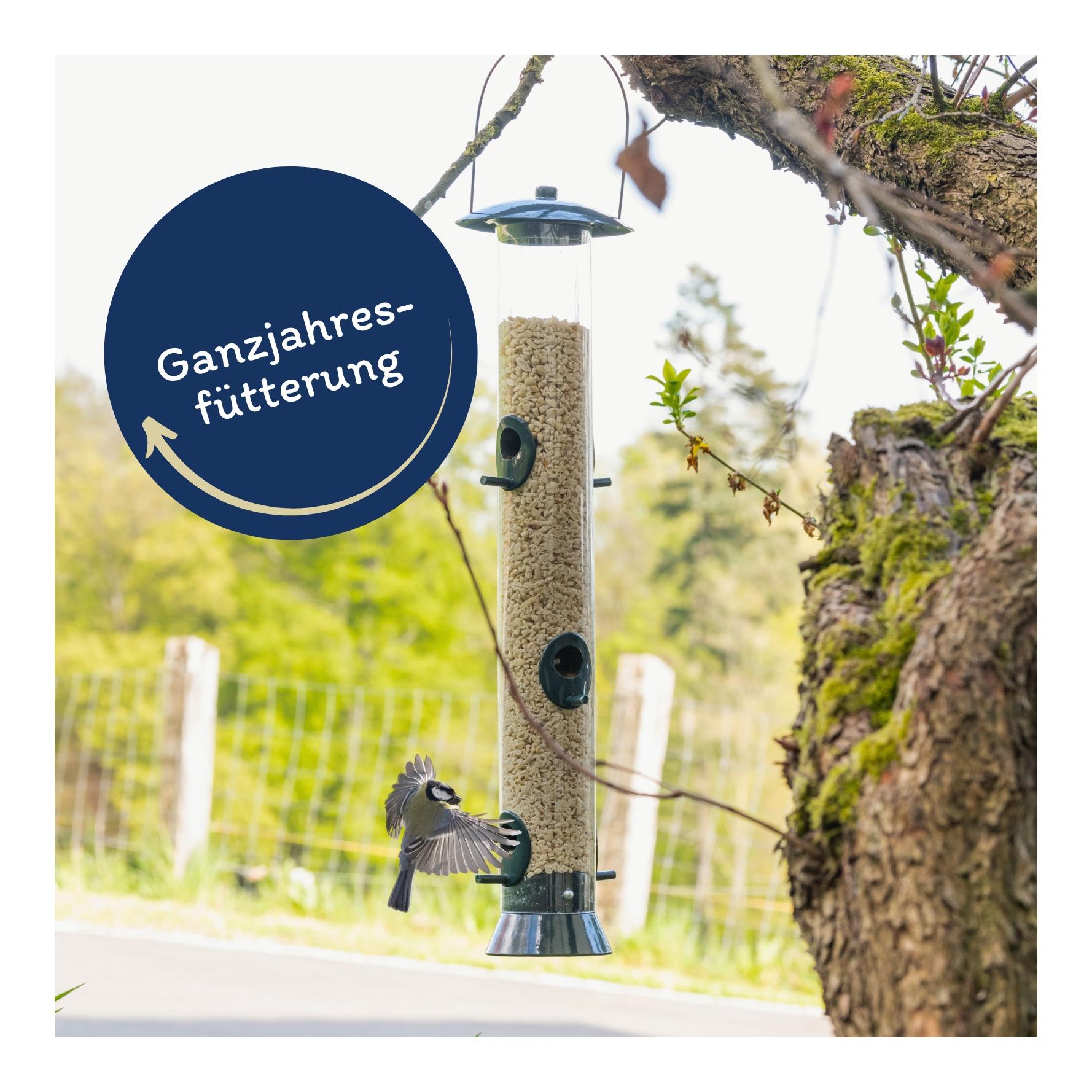 Erdnusskerne weiss gehackt