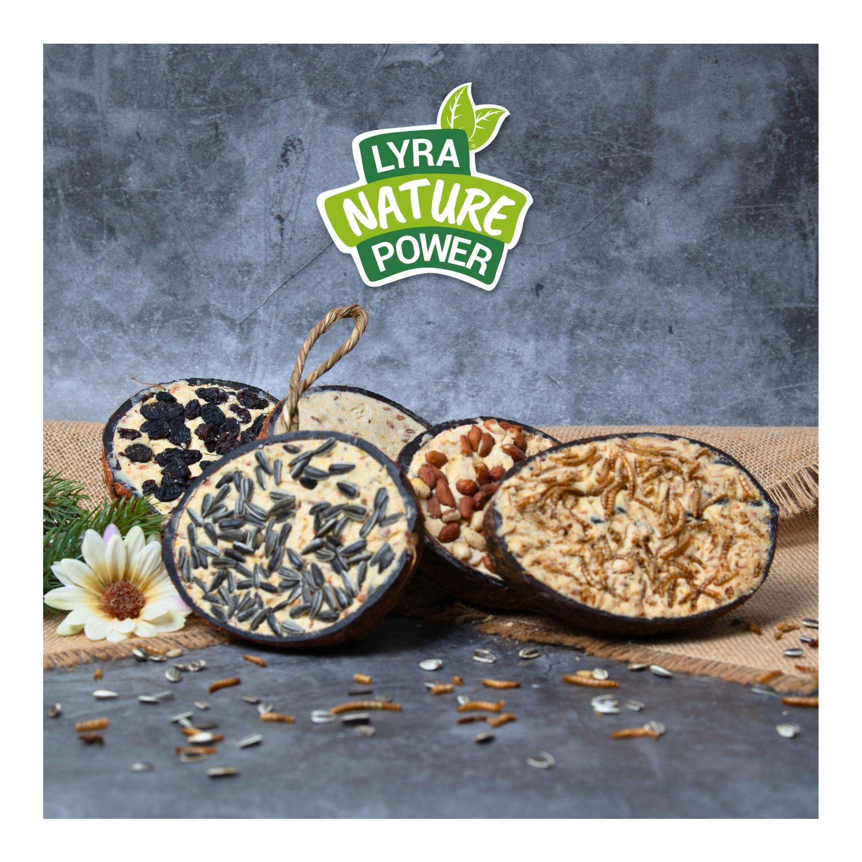 Halbe Kokosnuss gefüllt