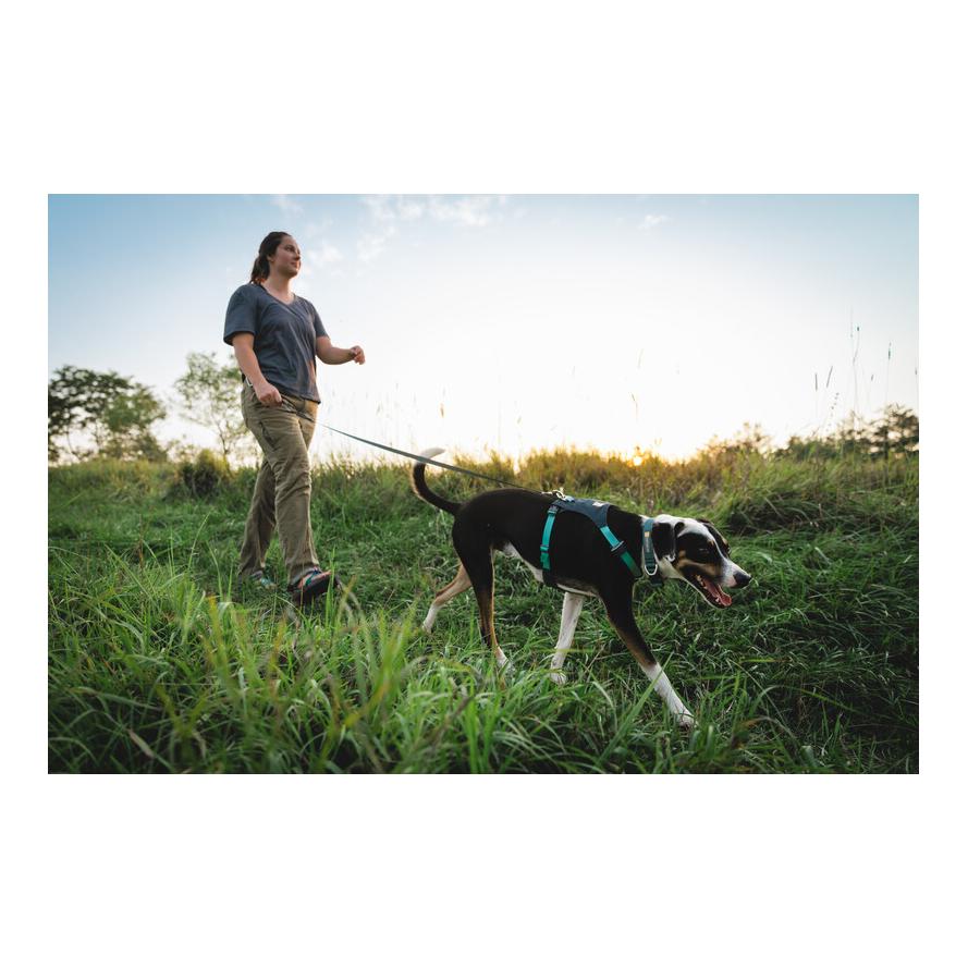 Hi & Light™ Geschirr