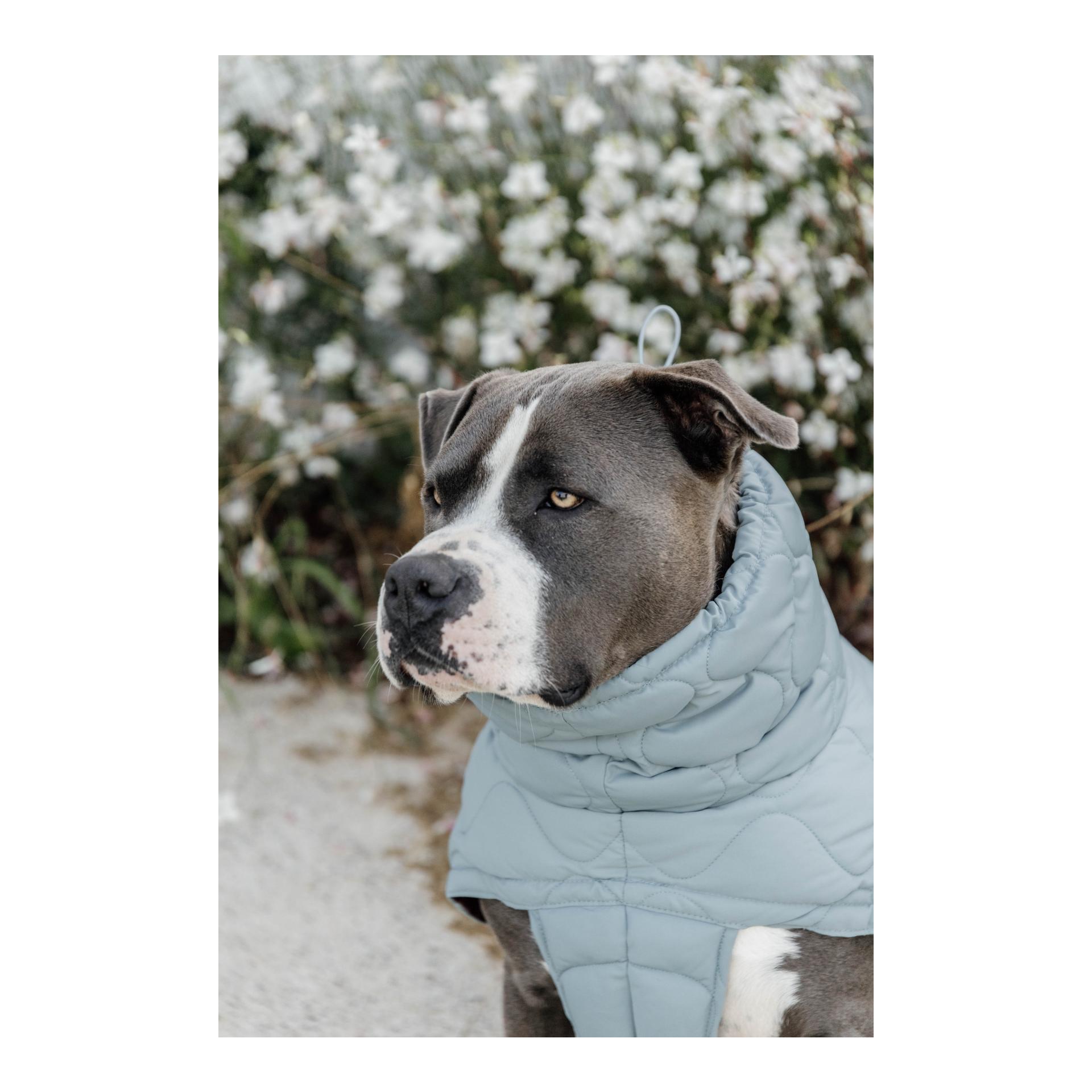 Kentucky Dogwear Hundemantel Pina - 160g