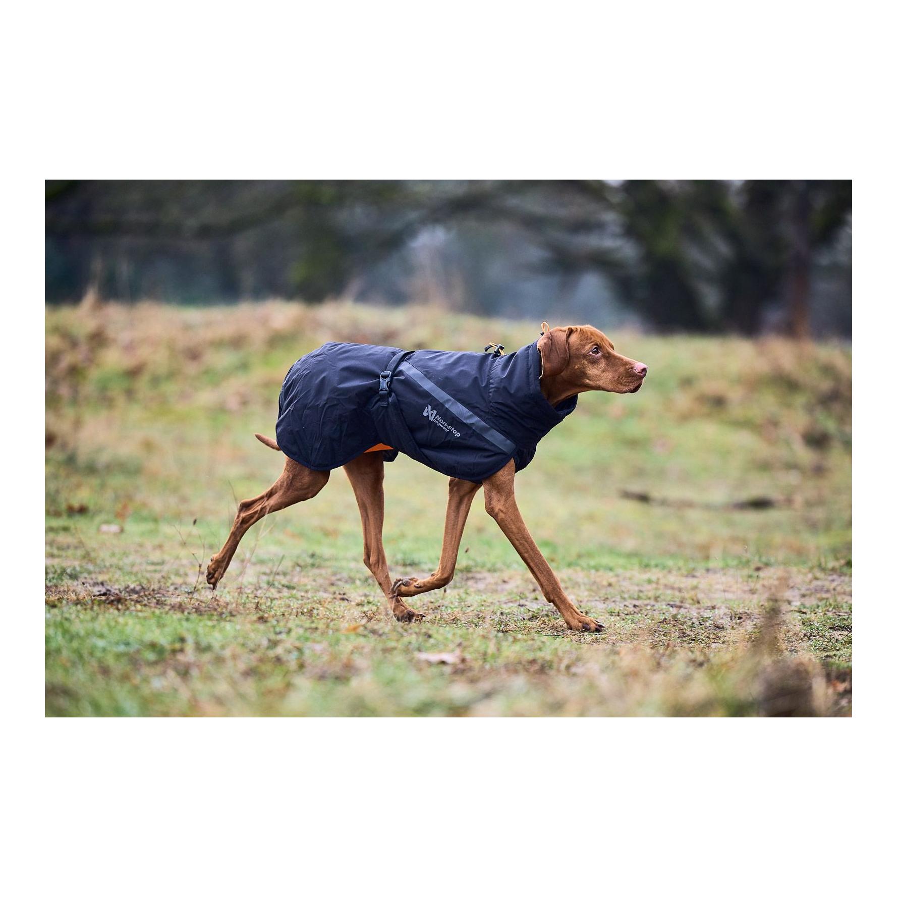 Hundemantel Trekking Insulated Dog Jacket