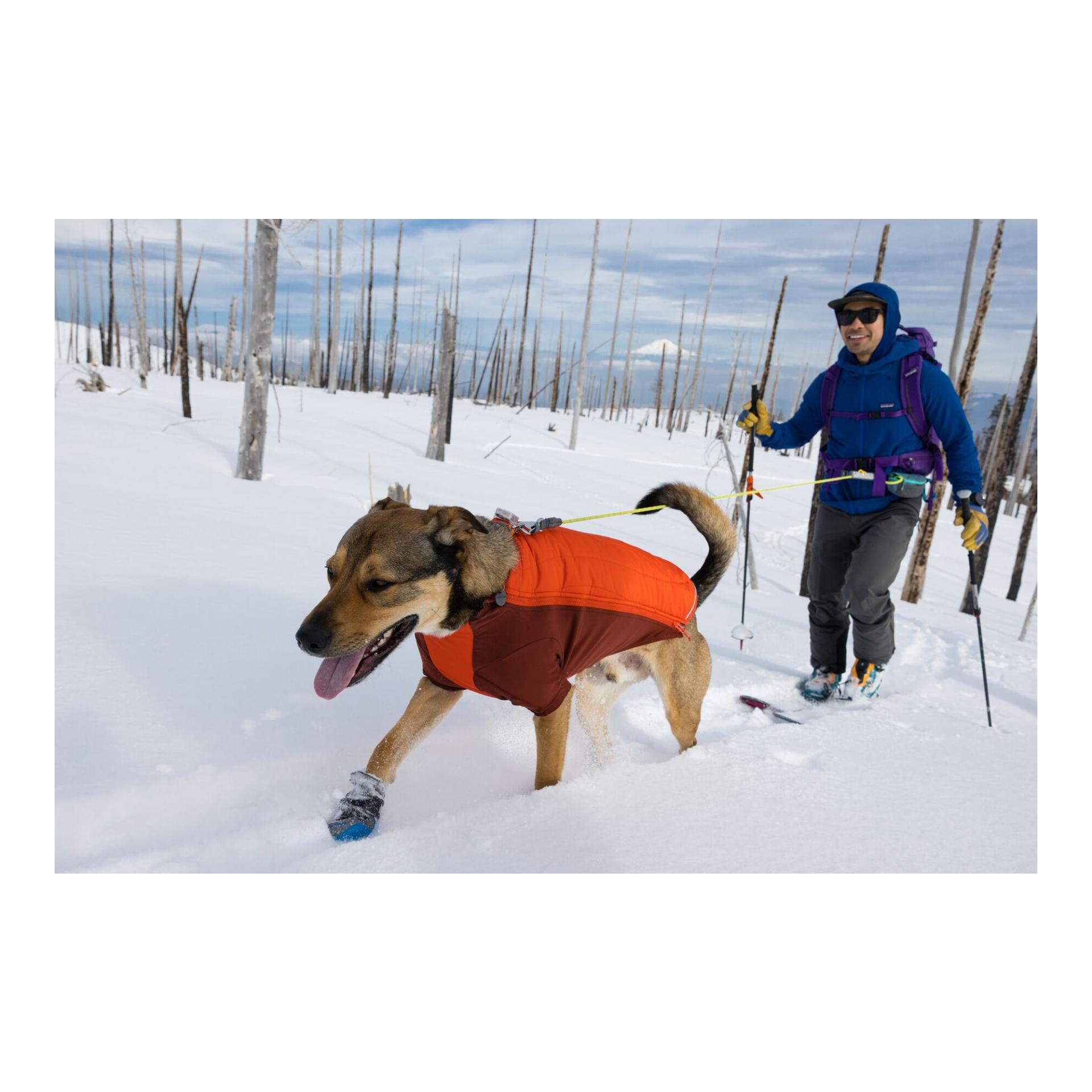 Ruffwear Powder Hound™ Jacket Hundejacke