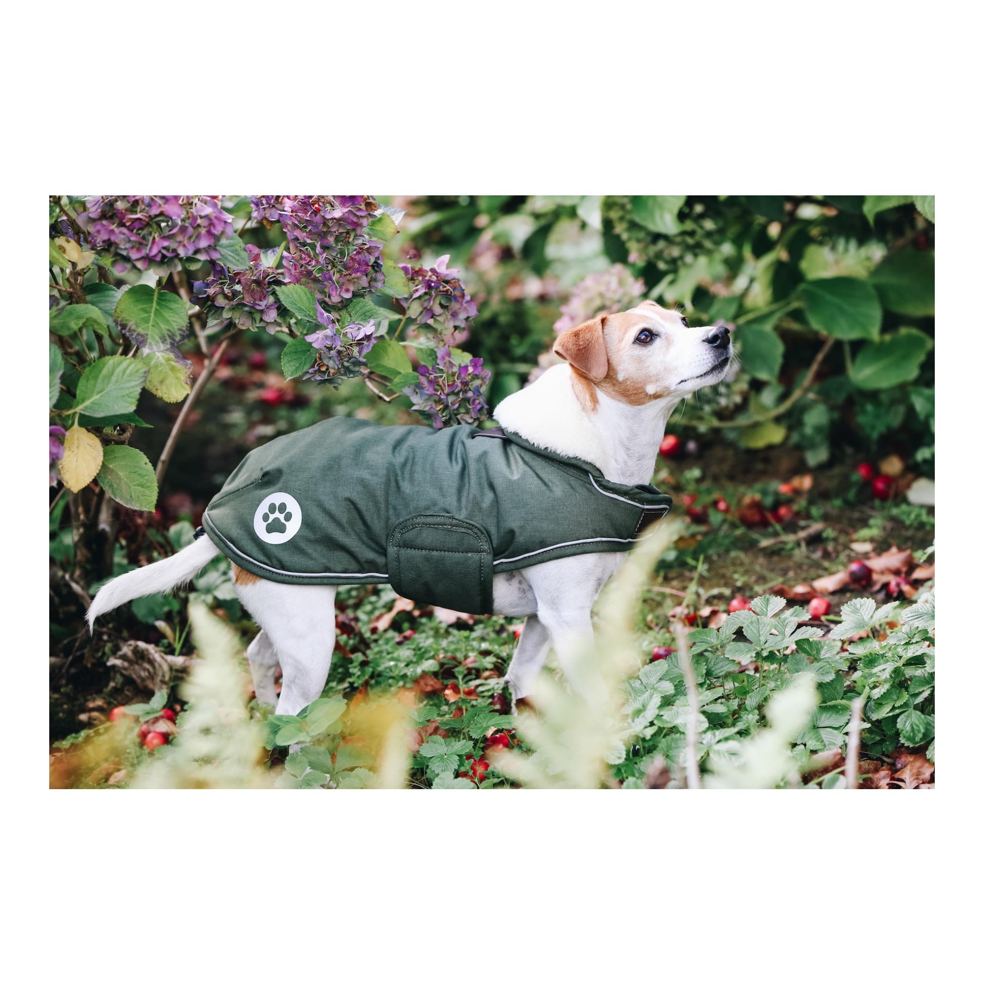 Kentucky Dogwear Manteau imperméable pour chien 300 g - vert olive
