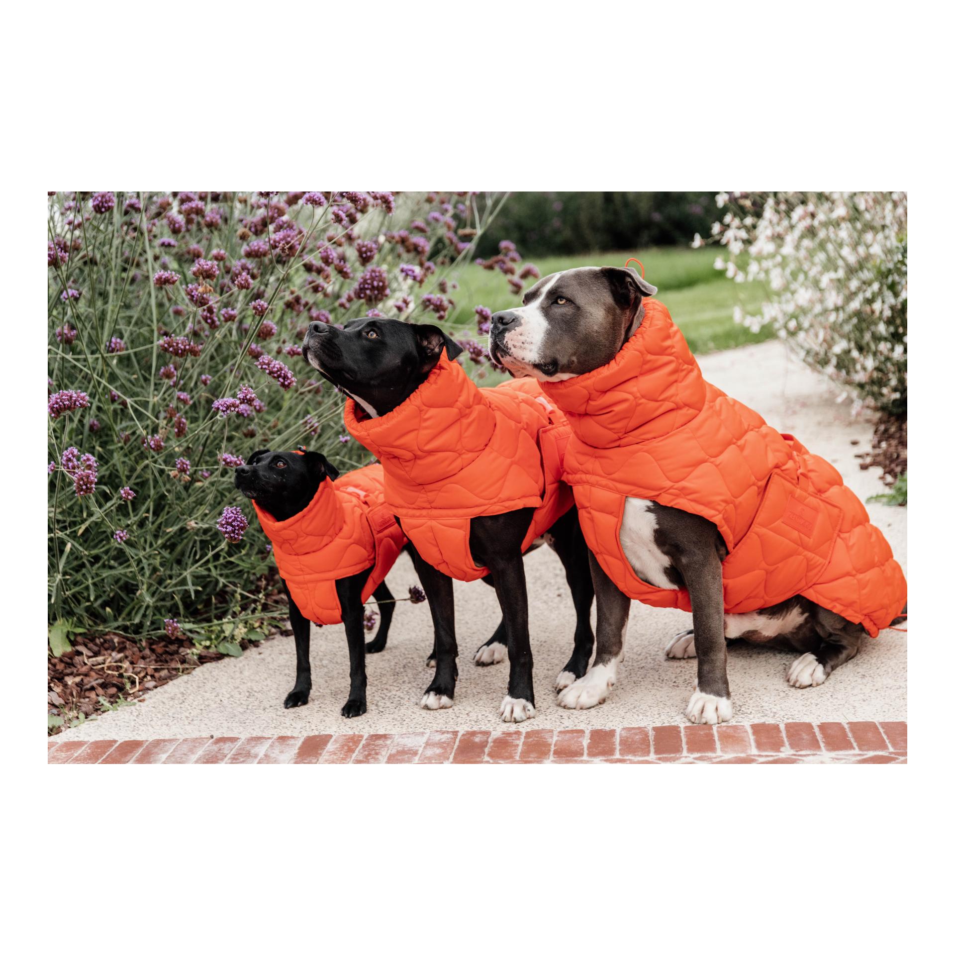 Kentucky Dogwear Hundemantel Pina - 160g