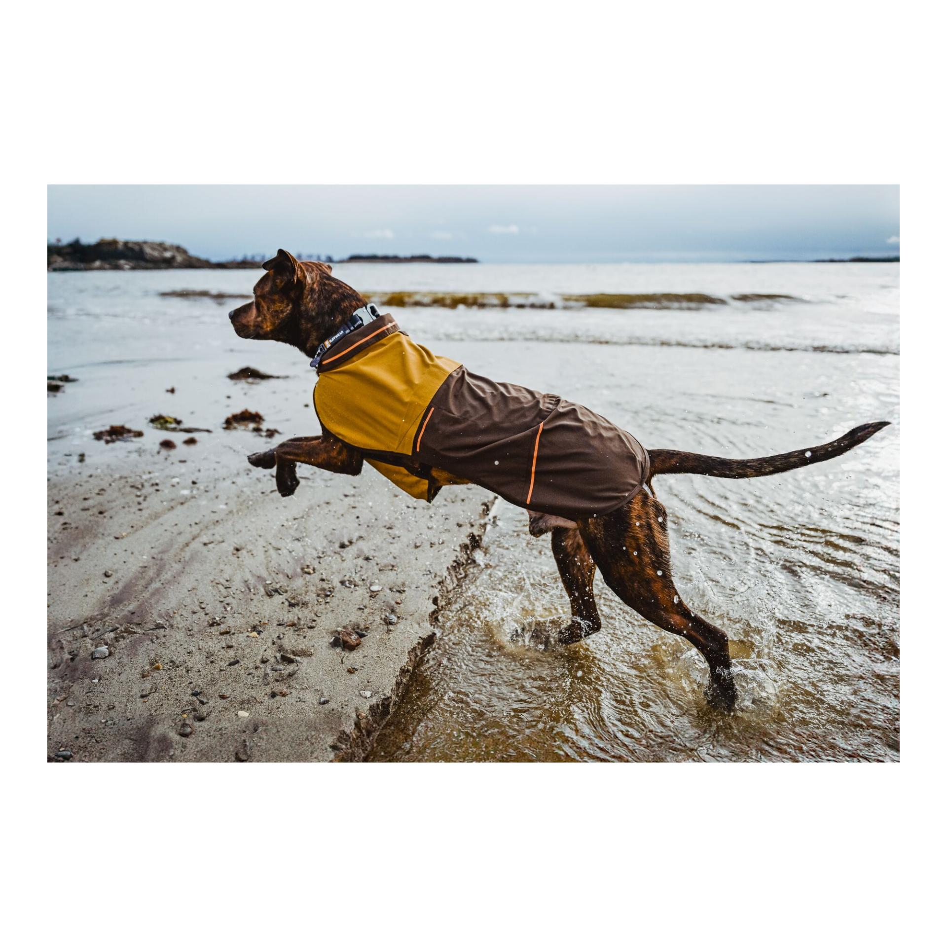 Hundemantel Sun Shower Jacket