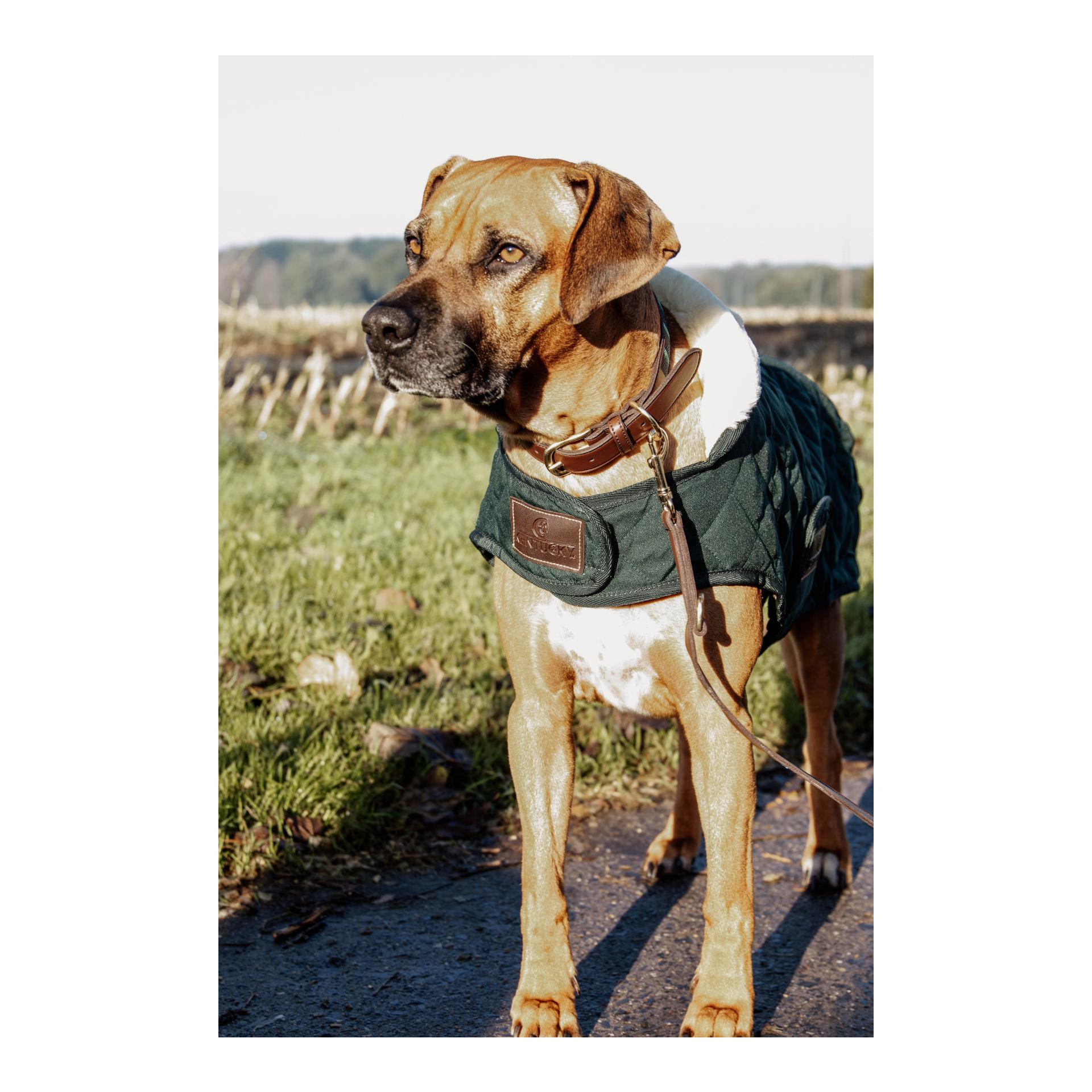 Kentucky Dogwear Hundemantel Original - dark green